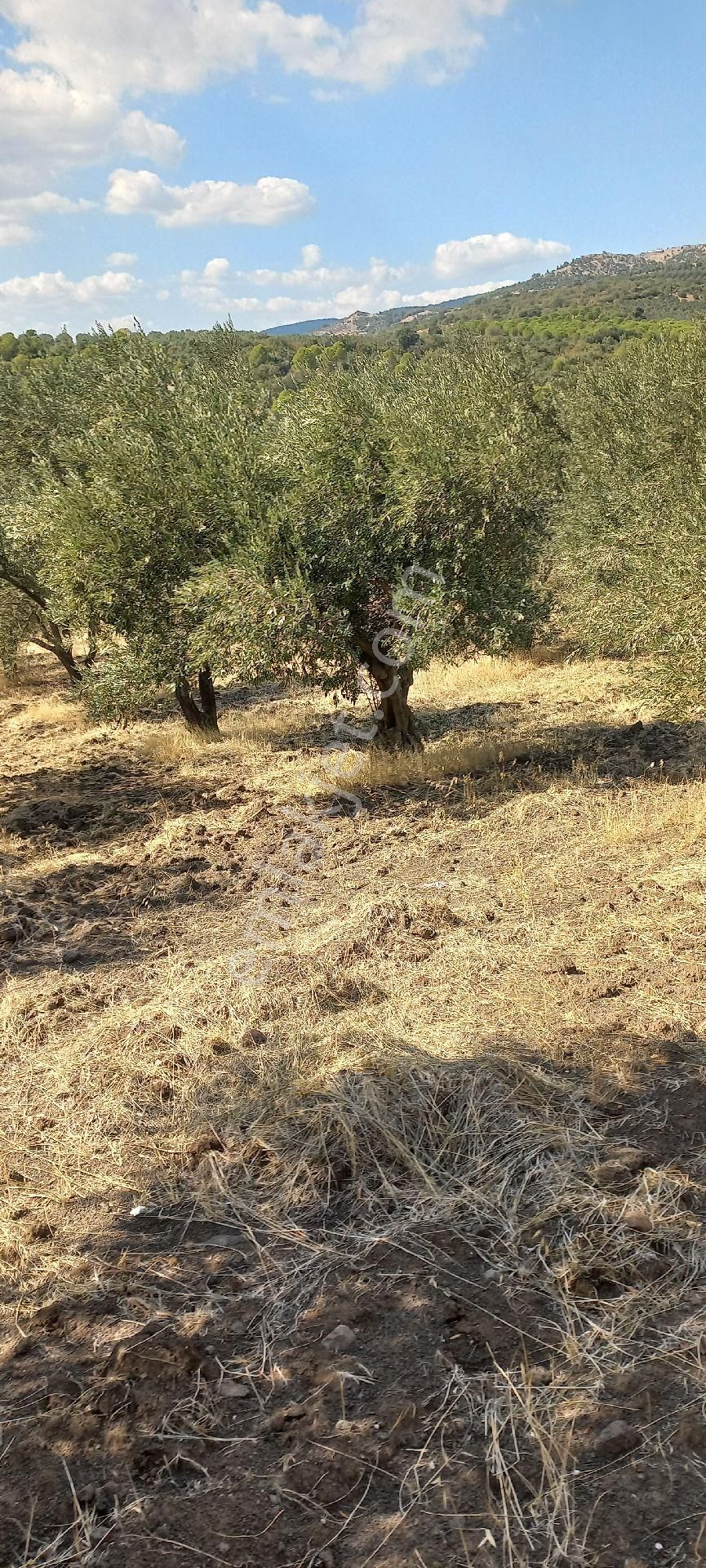 Satılık Müstakil Tapu - Görsel 24