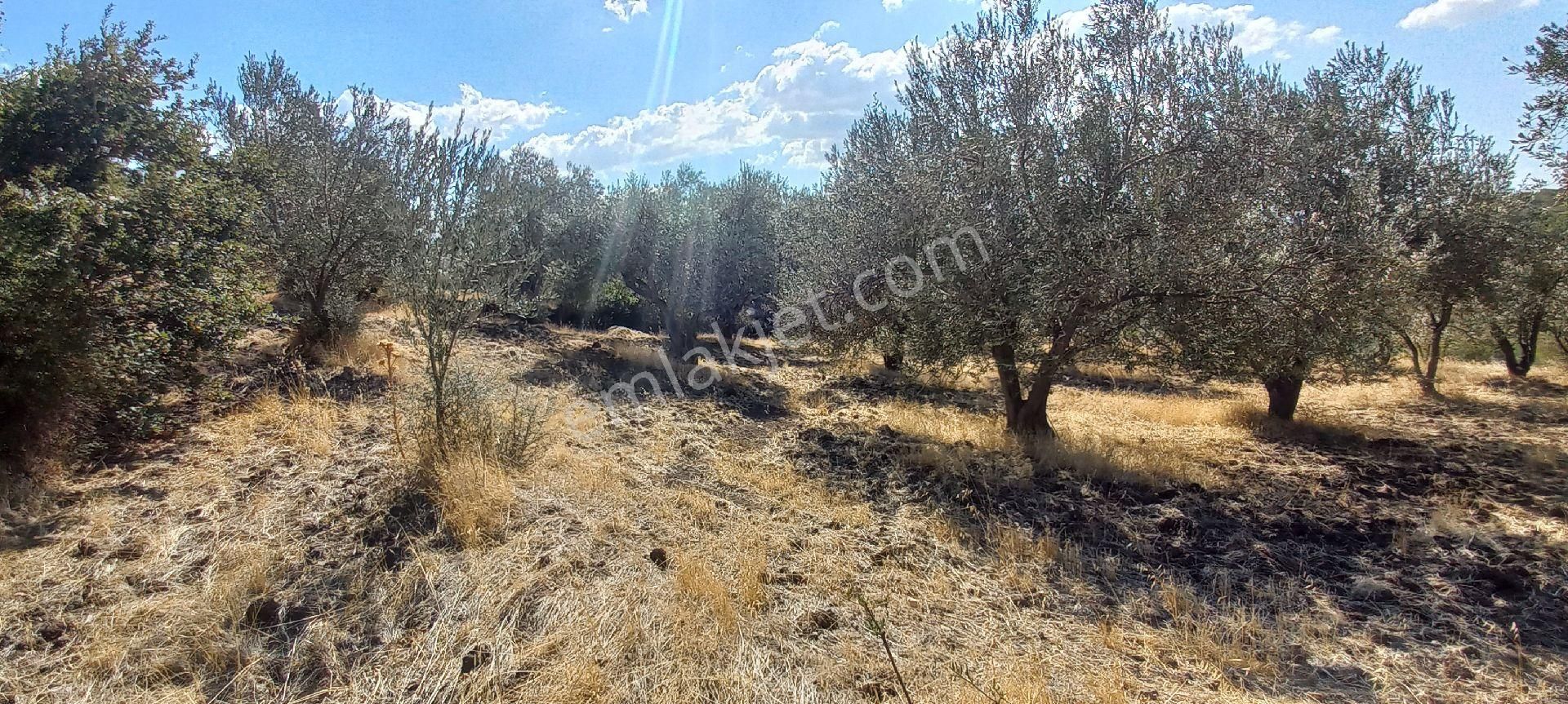 Satılık Müstakil Tapu - Görsel 11