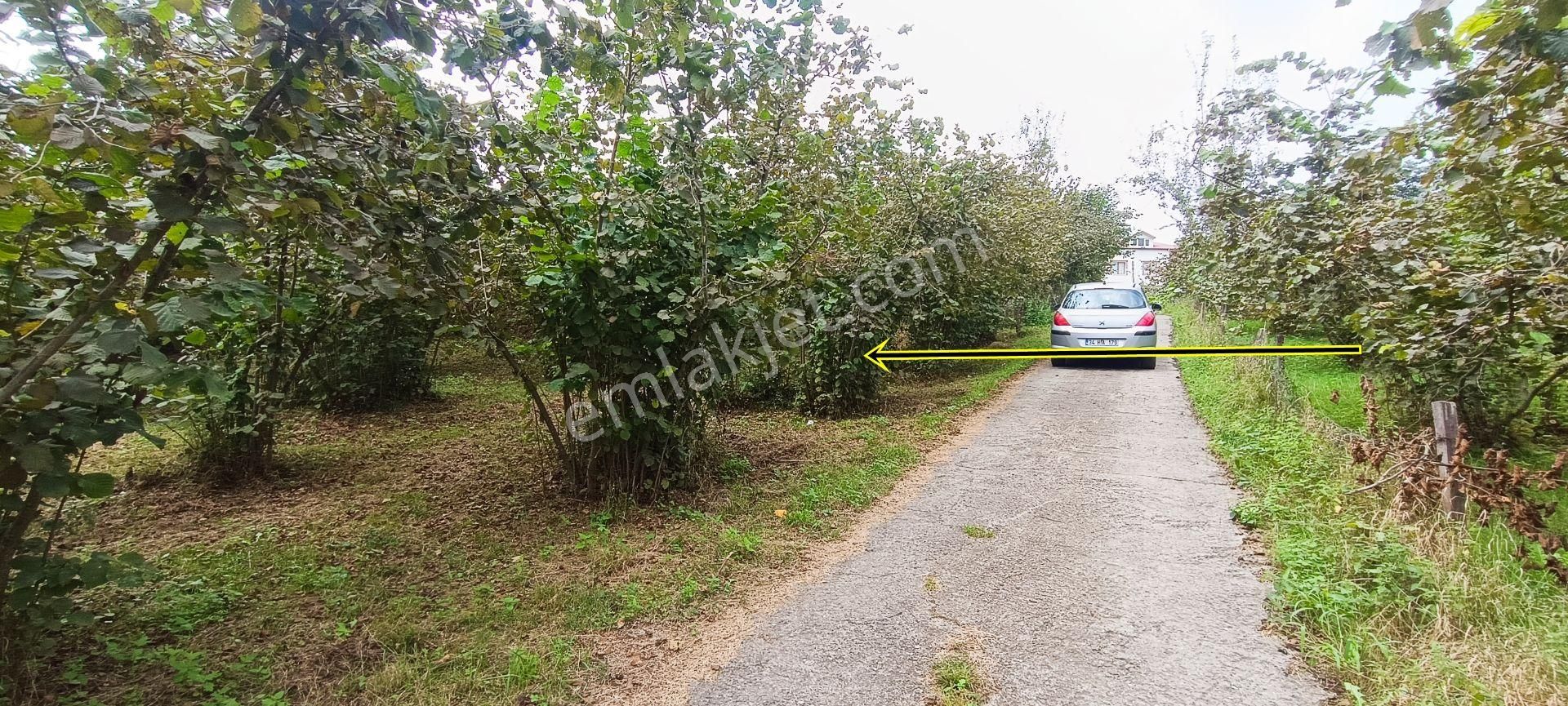 Ortahisar Karakaya Satılık Villa İmarlı  Kamer'den Ortahisar Karakaya'da Satılık Arsa