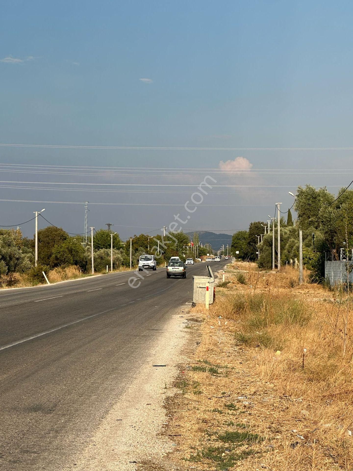 Tire Karaca Ali Satılık Bağ & Bahçe  TEK TAPU YOL ÜZERİNDE TİRE MERKEZE ÇOK YAKIN BAHÇE