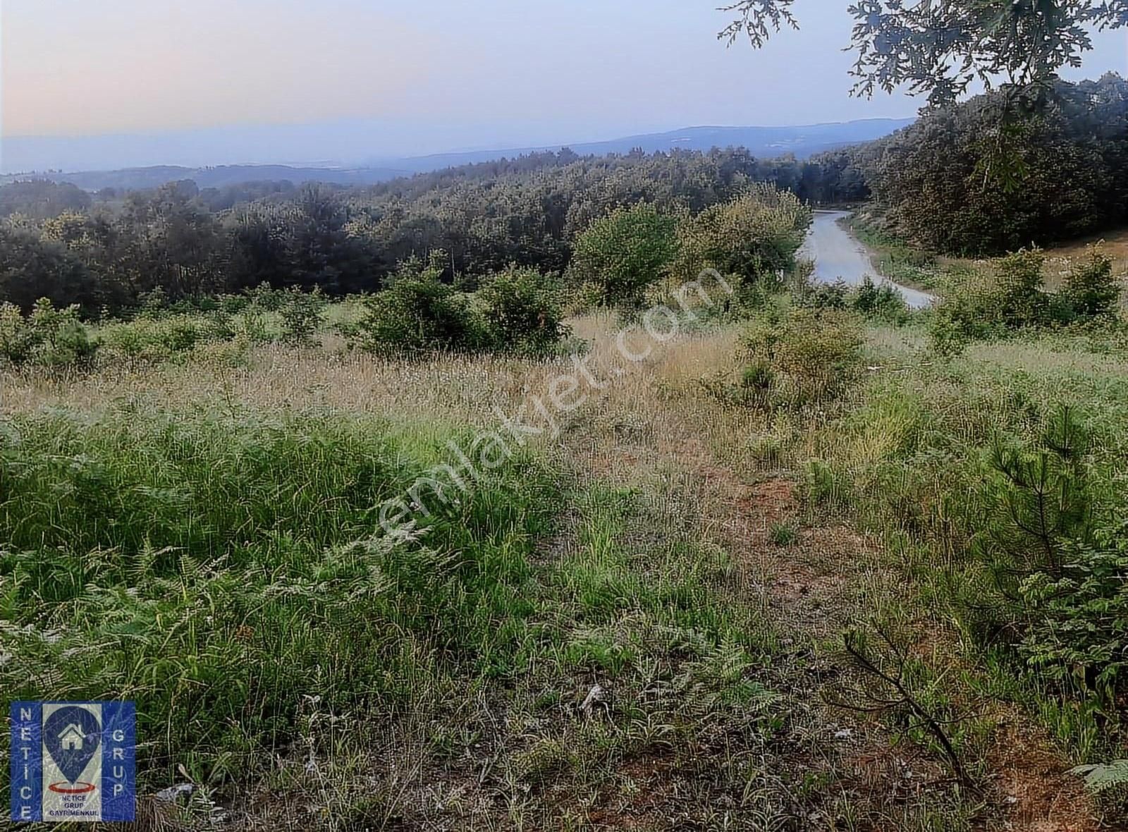 İnegöl Tekkeköy Satılık Tarla  BURSA İNEGÖL TEKKE KÖYDE YOLA CEPHE YATIRIMLIK