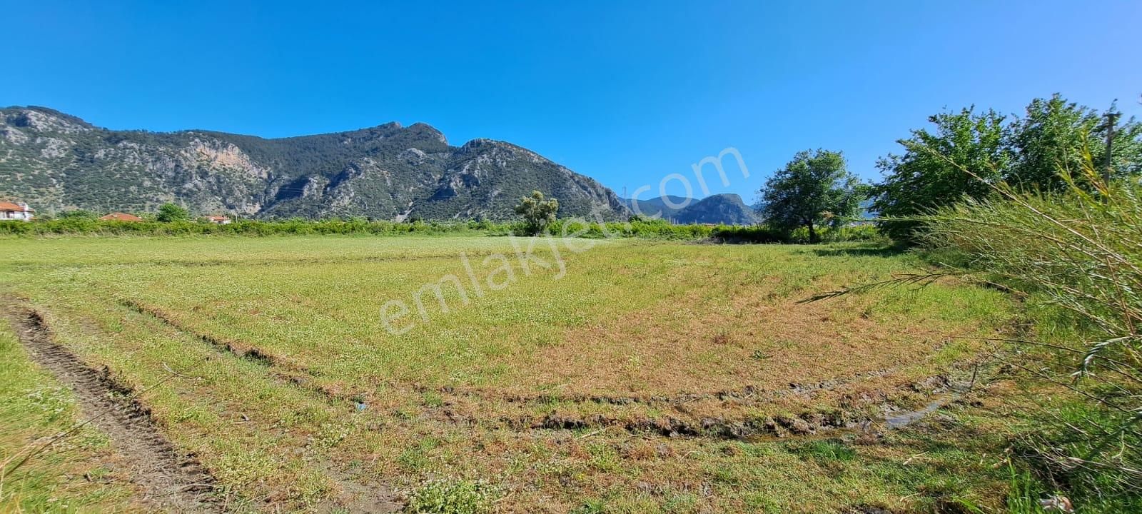 Eray Emlaktan Dalyanda 1200m2 Satılık Tarla - Görsel 2