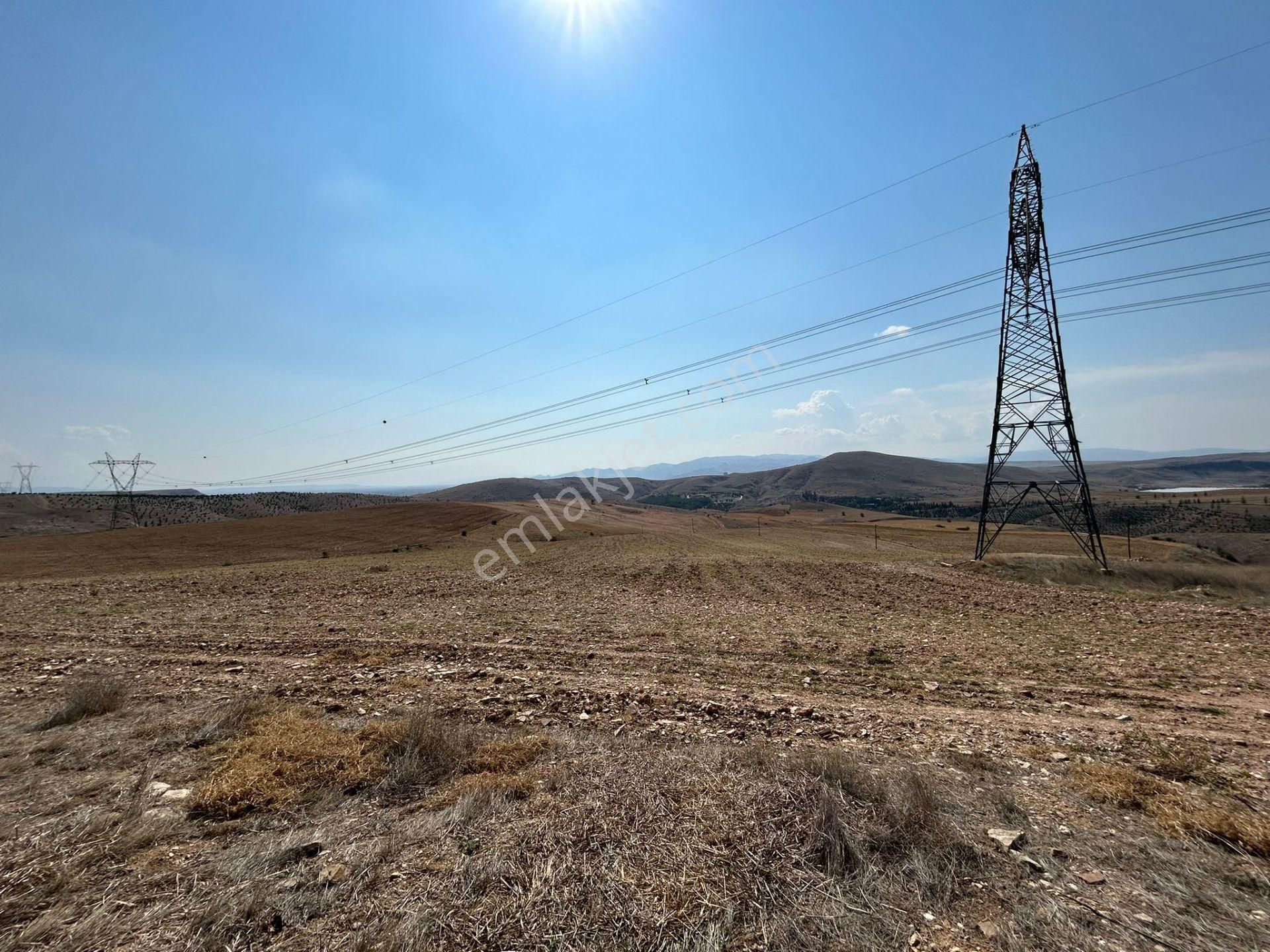 Afyonkarahisar Merkez Bayramgazi Köyü (Çatalçeşme) Satılık Tarla SATILIK BAYRAMGAZİ TARLA