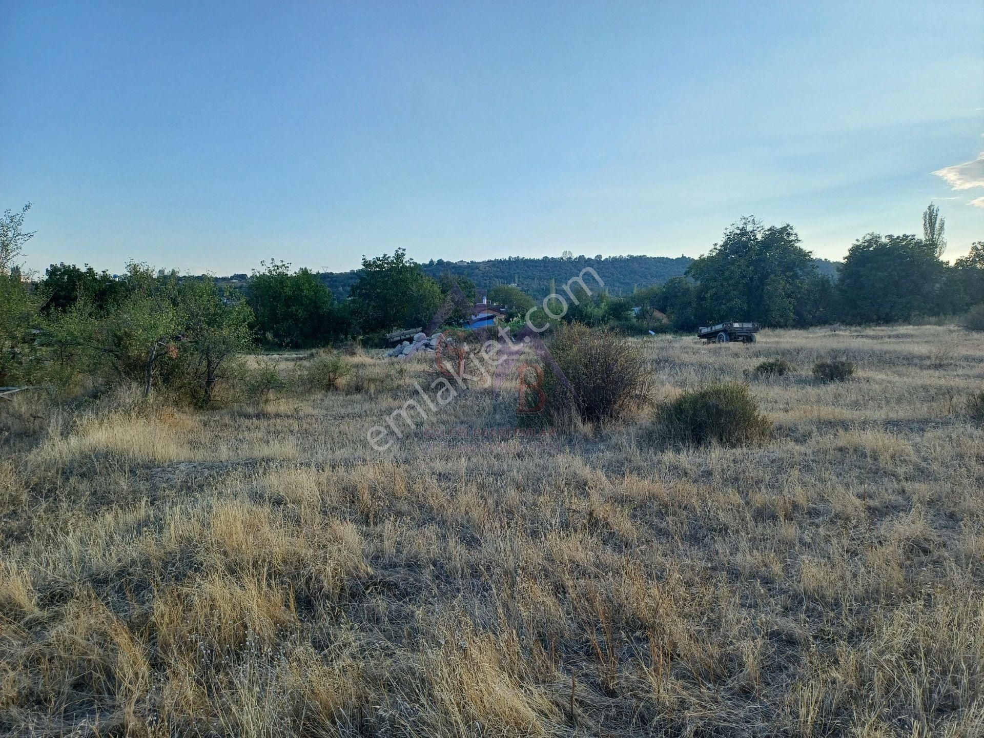 Kastamonu - Tosya Gökyer Mevkinde Satılık 4.5 Dönüm Bağ - Görsel 3