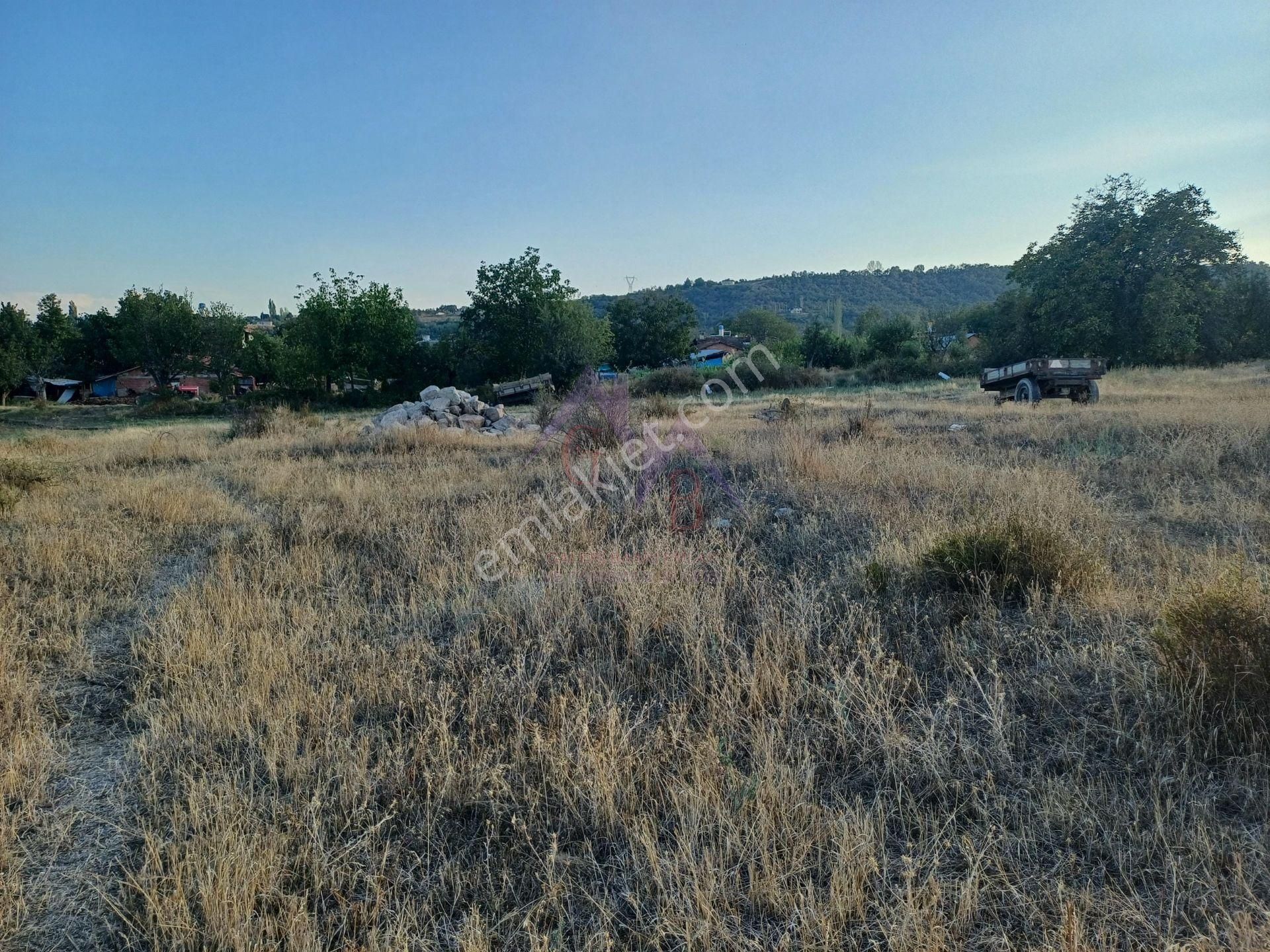 Kastamonu - Tosya Gökyer Mevkinde Satılık 4.5 Dönüm Bağ - Görsel 8