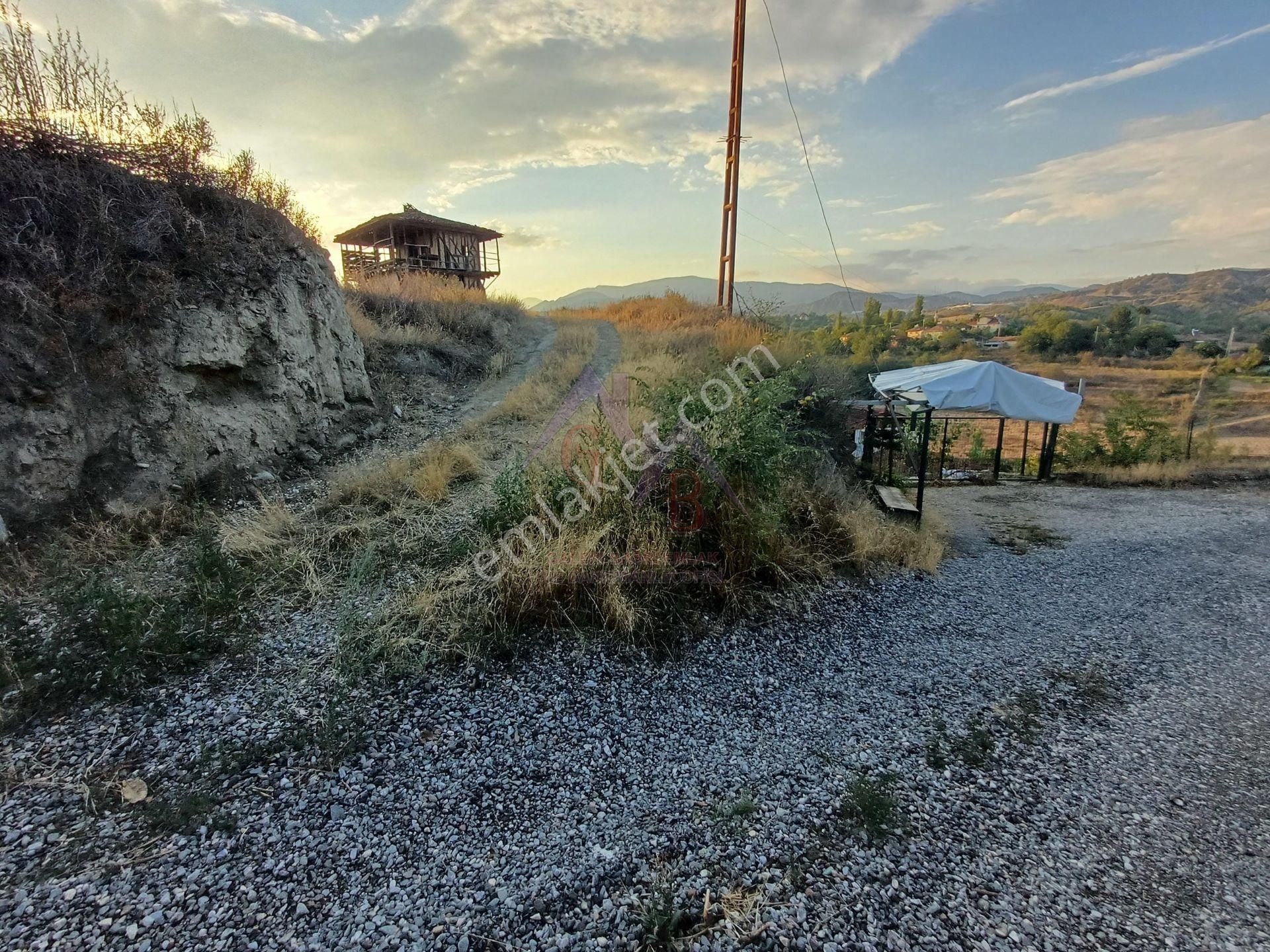 Kastamonu - Tosya Gökyer Mevkinde Satılık 4.5 Dönüm Bağ - Görsel 12