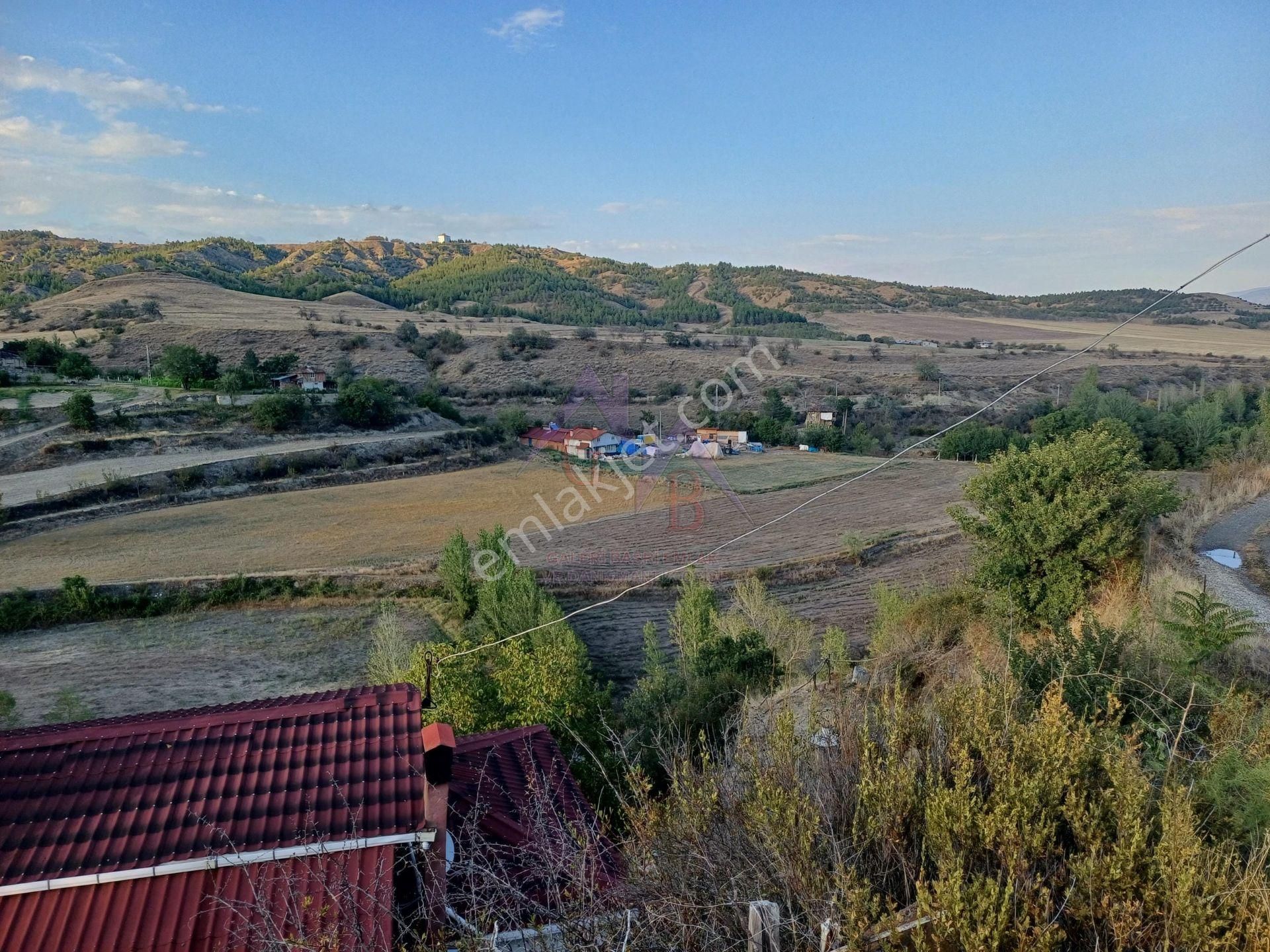Kastamonu - Tosya Gökyer Mevkinde Satılık 4.5 Dönüm Bağ - Görsel 4