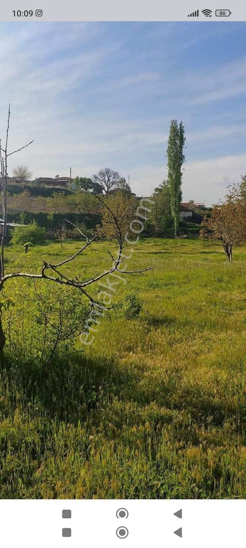 Turgutlu Ayvacık Satılık Tarla  MANİSA TURGUTLUDA SATILIK TARLA 