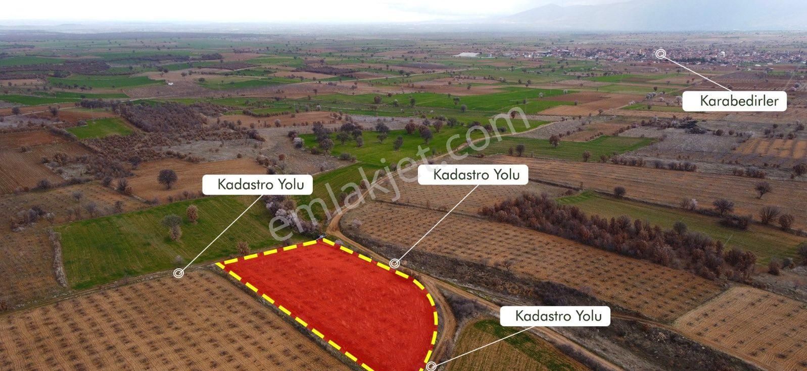 Çivril Karabedirler Satılık Bağ & Bahçe Çift Kadastro Yolu Kenarında 3.5 dönüm Yatırımlık ve Ekime Uygun Üzüm Bağı