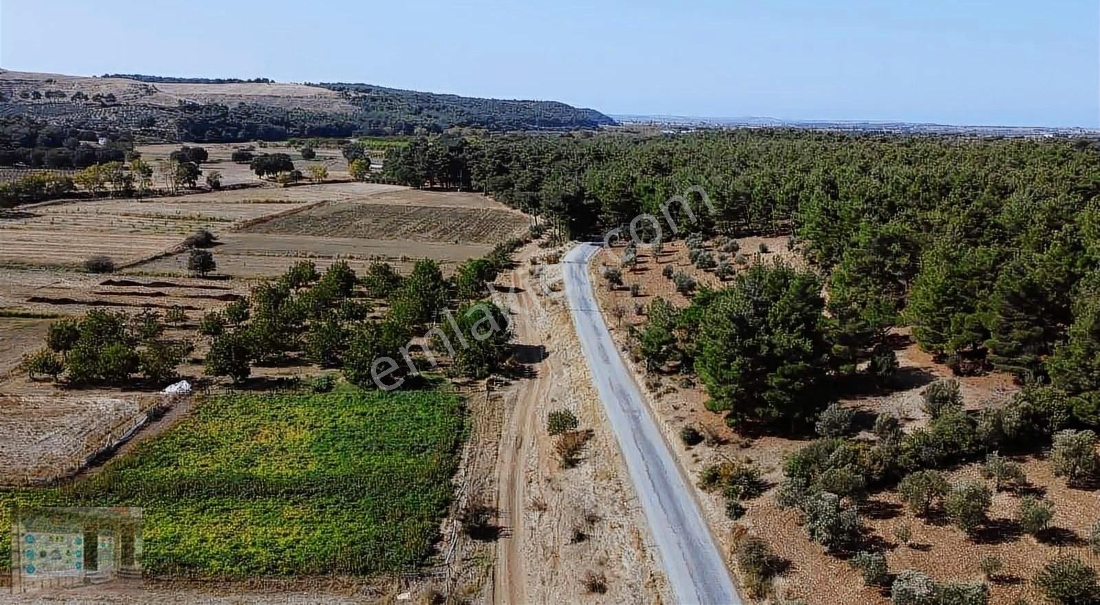 Çanakkale Merkez Dümrek Köyü Satılık Tarla ÇANAKKALE MERKEZ DÜMREK KÖYÜN DE SATILIK CEVİZ BAHÇESİ