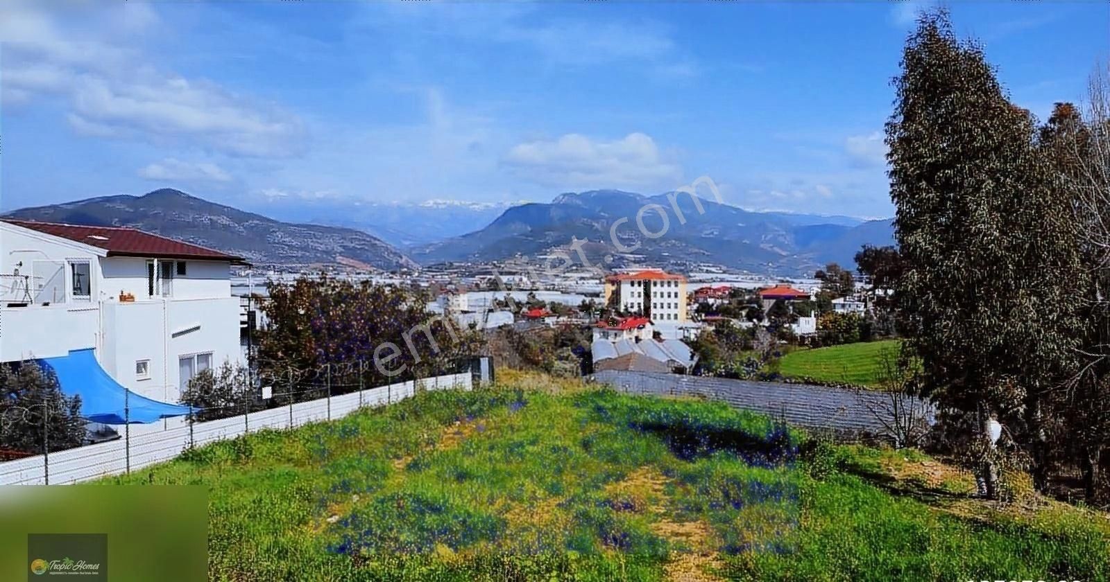 Gazipaşa Bakılar Satılık Bağ & Bahçe ANTALYA GAZİPASA BAKILARDA 1187 ADA 13 parsel