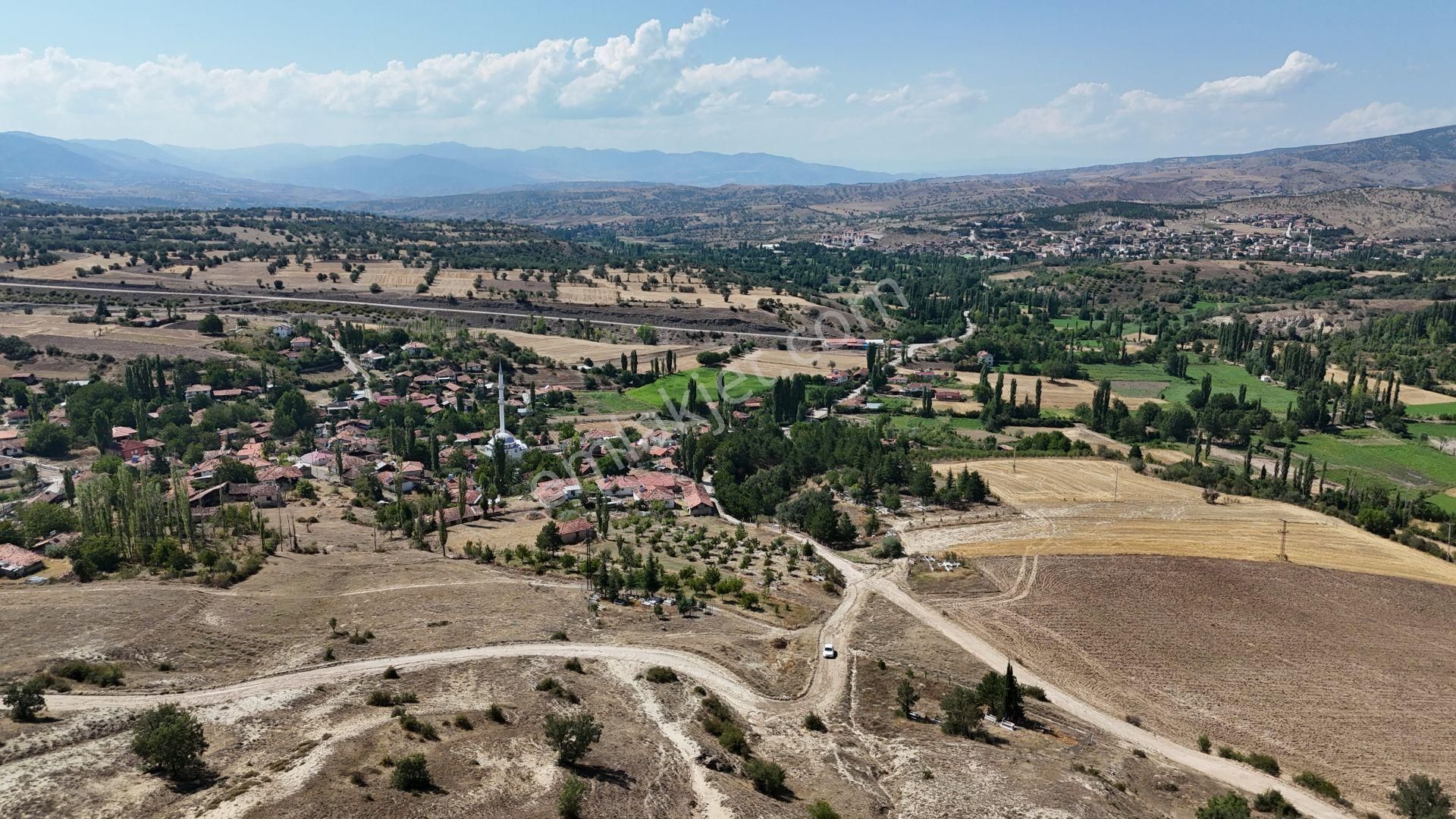 Hamamözü Damladere Köyü Satılık Tarla Amasya / Hamamözü / Damladere De 1.170 M² Müstakil Tarla