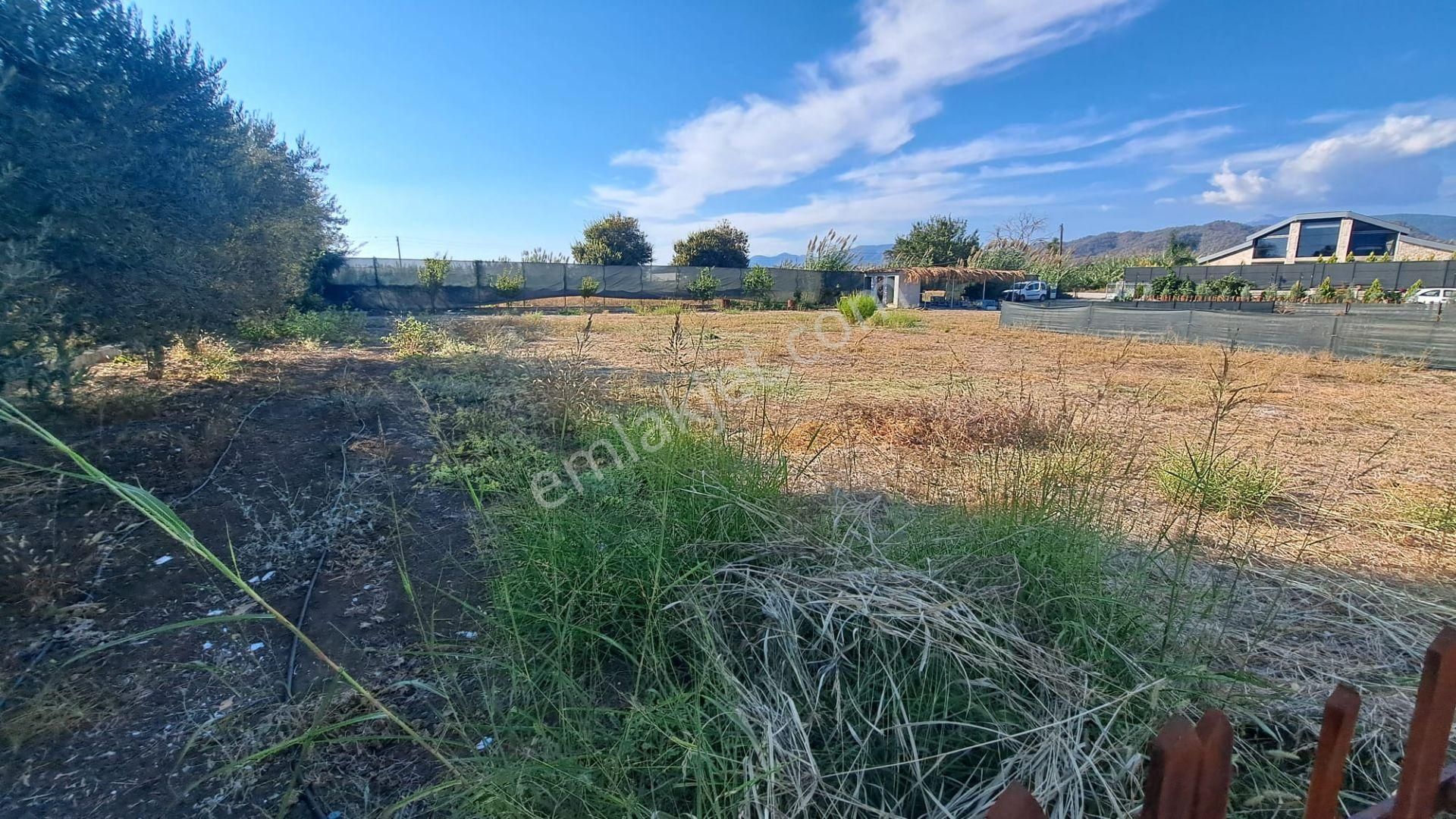 Stop’tan Foça’da 1+1 Bungalov Eşyalı Kiralık Elektrik Ve Su Ücretsiz - Görsel 27