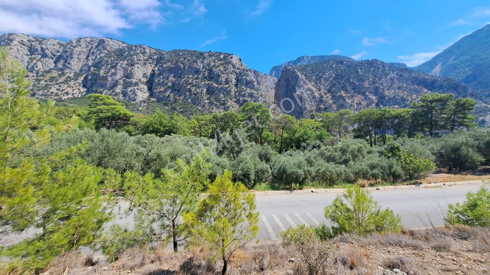 Seydikemer Kayadibi Satılık Tarla Stop’tan S.kemer Saklıkent Yolu Kayadibinde Satılık Tarla