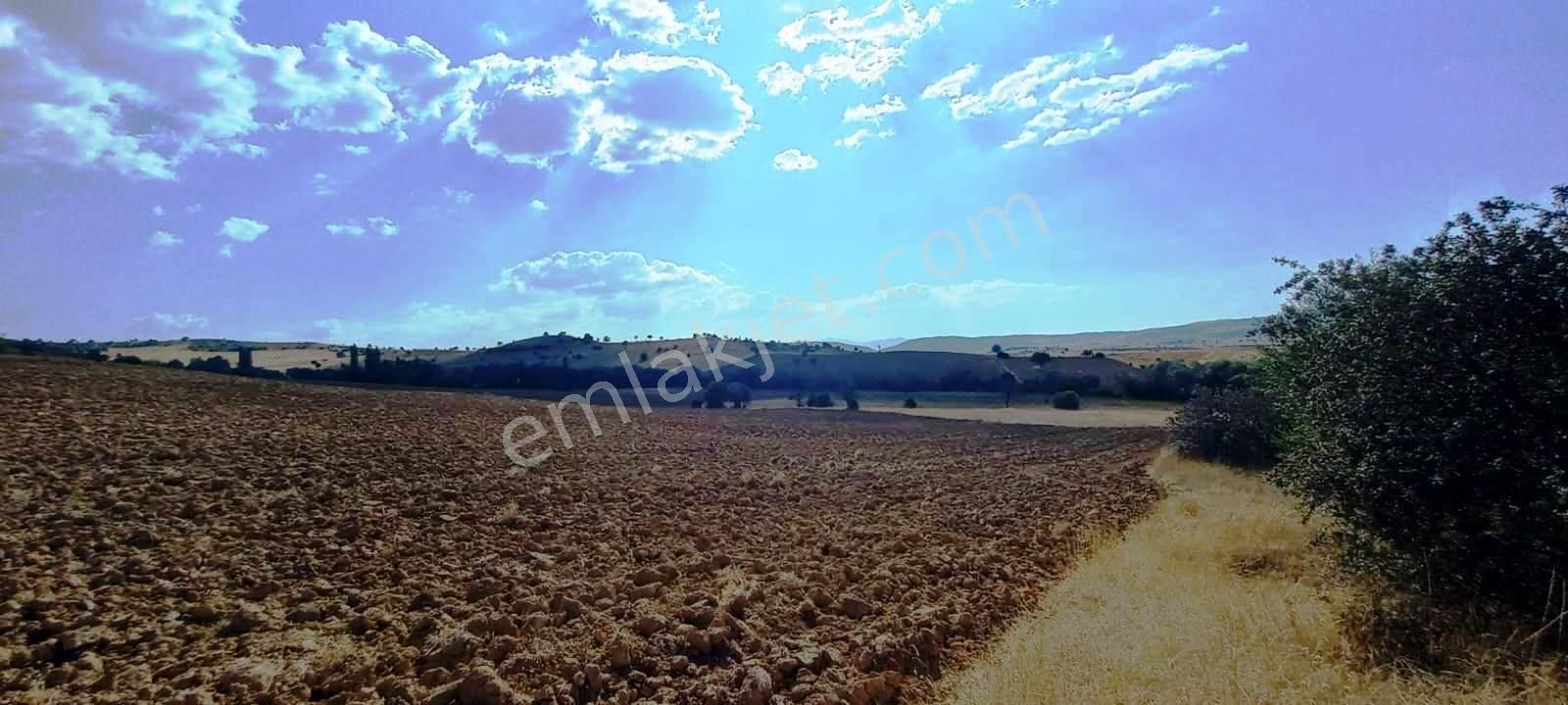 Gediz Yukarısusuz Köyü Satılık Tarla  GEDİZ'DE TURİZM MERKEZİ İLAN EDİLEN BÖLGEDE 5.190m2 SATILIK ARSA