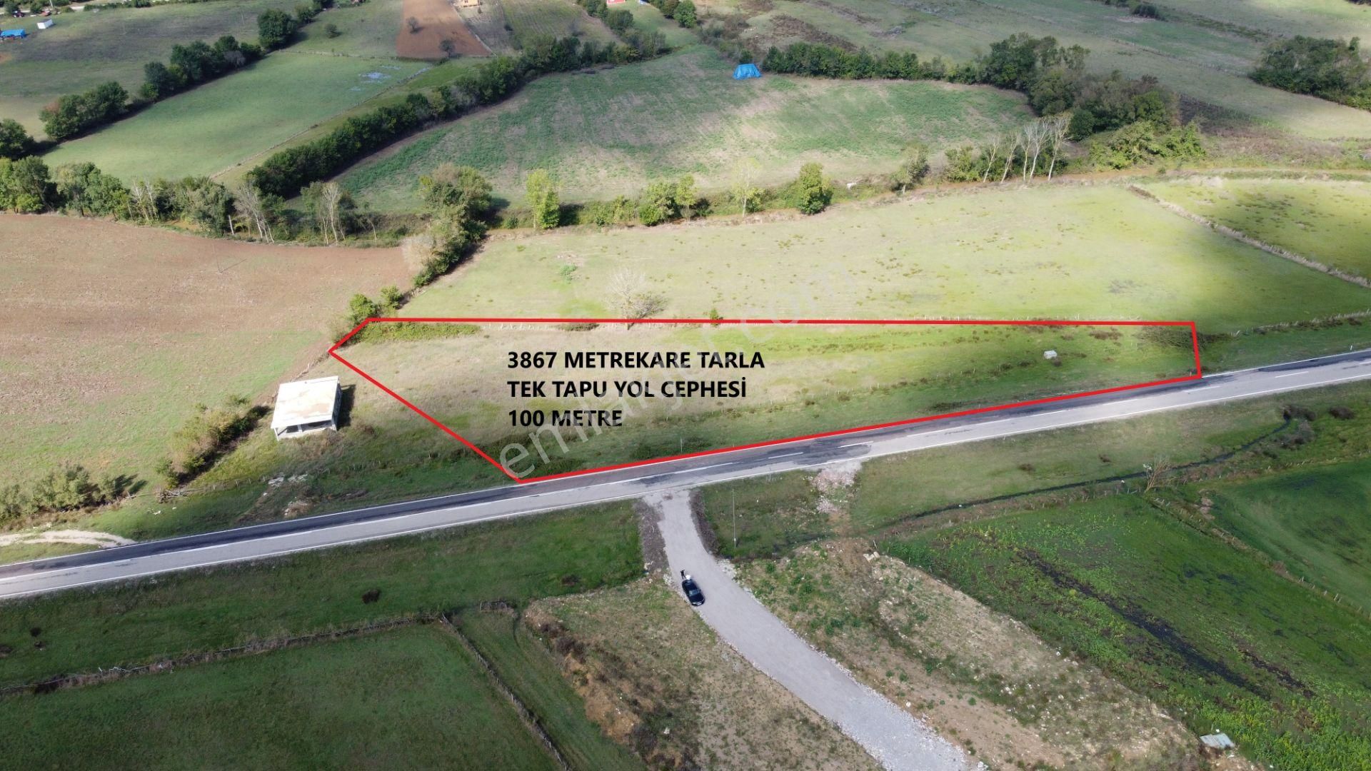 Sinop Merkez Dibekli Köyü (Taşlıca) Satılık Tarla  DİBEKLİ KÖYÜ AYANCIK YOL KENARINDA 3867m2 SATILIK TARLA 