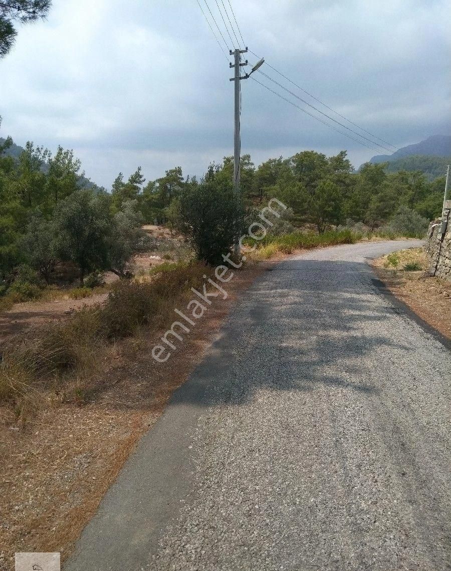 Muğla Fethiye Göcek Taşbaşında Kiralık Arazi - Görsel 2