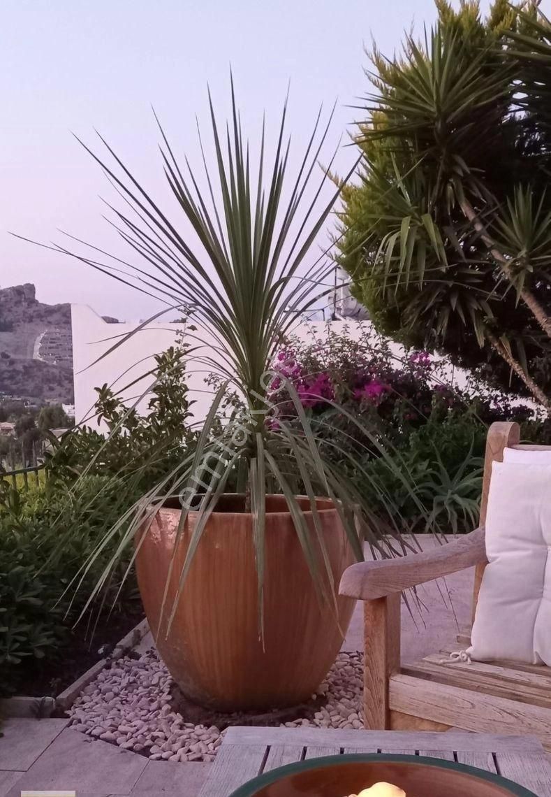 Yalıkavak Cennetköy Sitesinde En İyi Konumda Satılık Villa - Görsel 6