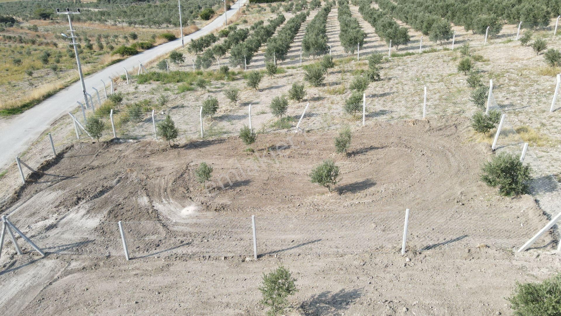 Tekeli'de Baraj Manzaralı Satılık 150 M2 Resmi Tapulu Bahçe - Görsel 2