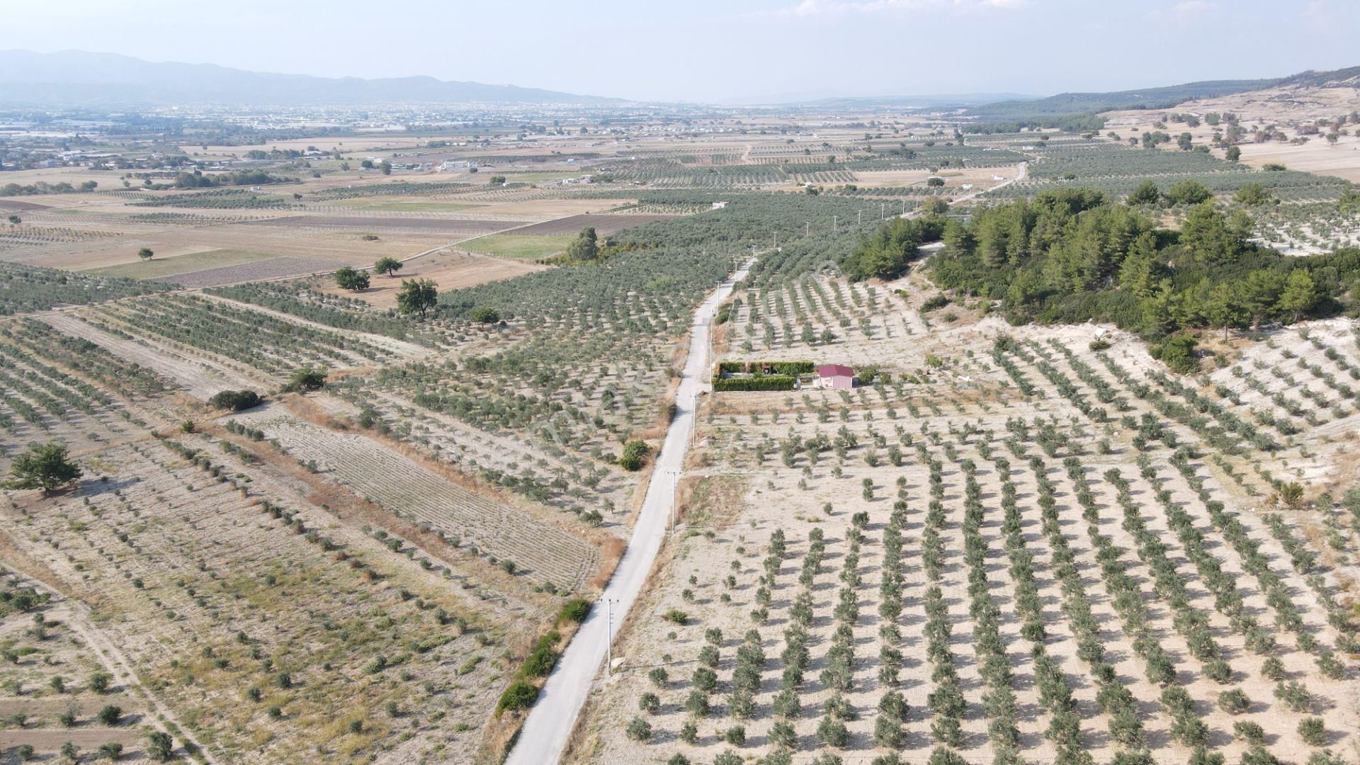 Tekeli'de Baraj Manzaralı Satılık 150 M2 Resmi Tapulu Bahçe - Görsel 17