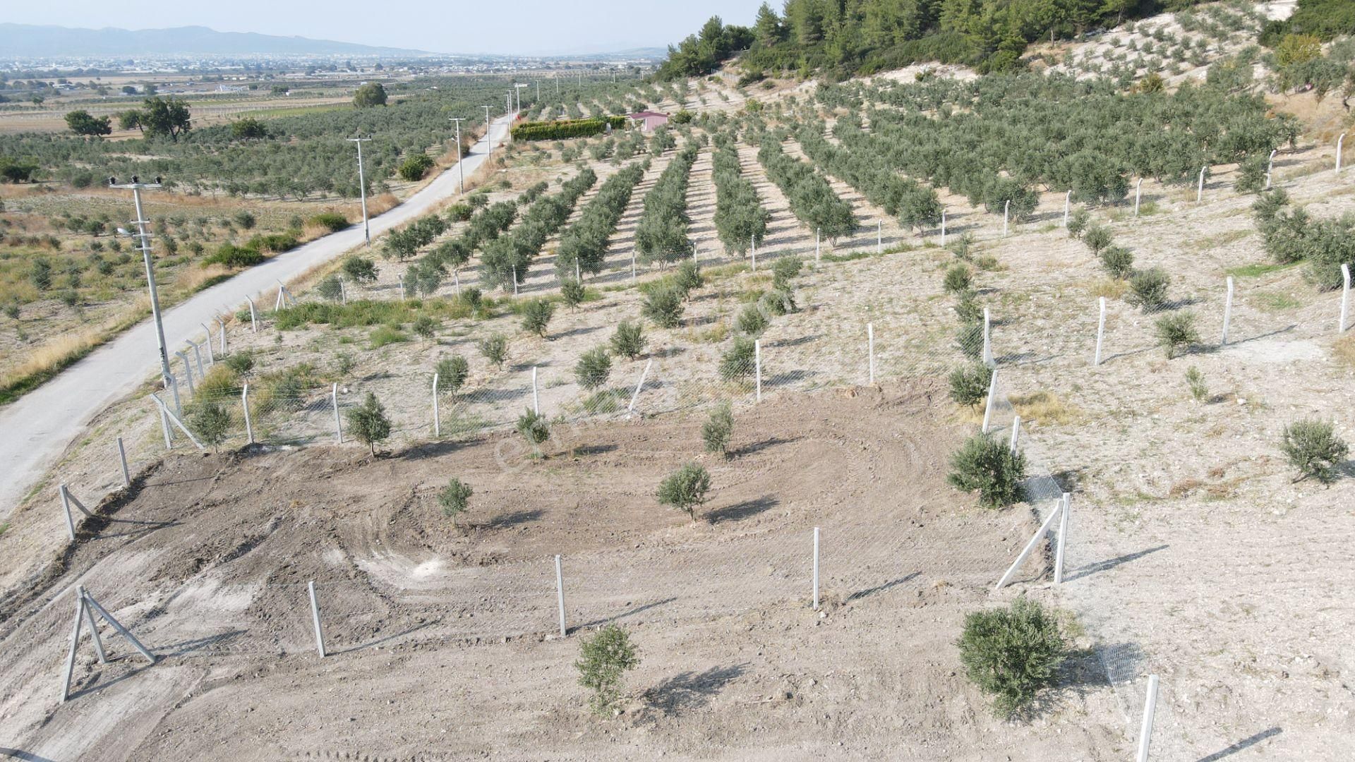 Tekeli'de Baraj Manzaralı Satılık 150 M2 Resmi Tapulu Bahçe - Görsel 15