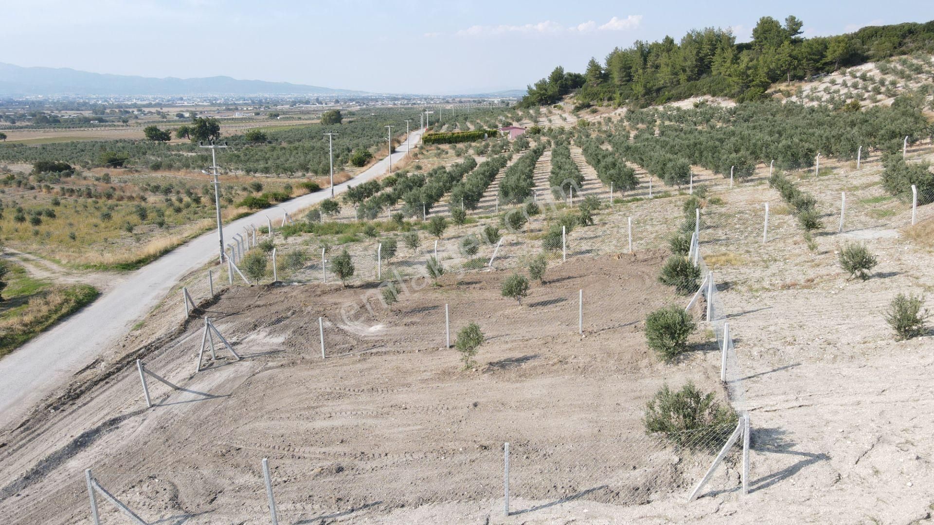 Menderes Tekeli Fevzi Çakmak Satılık Tarla  TEKELİ'DE BARAJ MANZARALI SATILIK 150 M2 RESMİ TAPULU BAHÇE