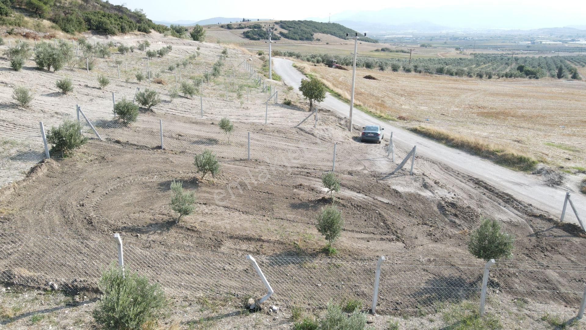 Tekeli'de Baraj Manzaralı Satılık 150 M2 Resmi Tapulu Bahçe - Görsel 8