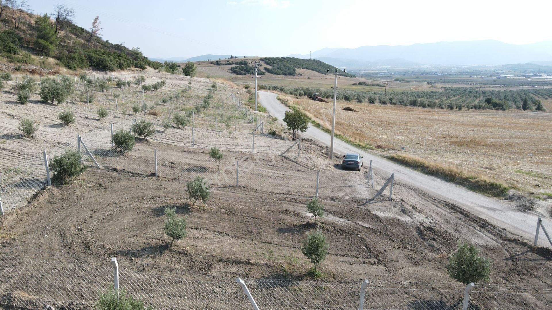 Tekeli'de Baraj Manzaralı Satılık 150 M2 Resmi Tapulu Bahçe - Görsel 7