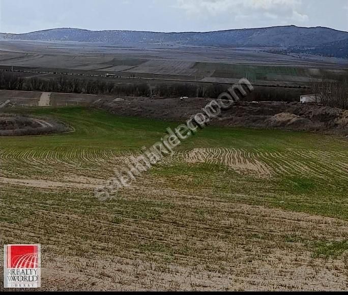 Mahmudiye Hamidiye Satılık Tarla RW Detay'dan Mahmudiye'de asfalta cephe satılık tarla.