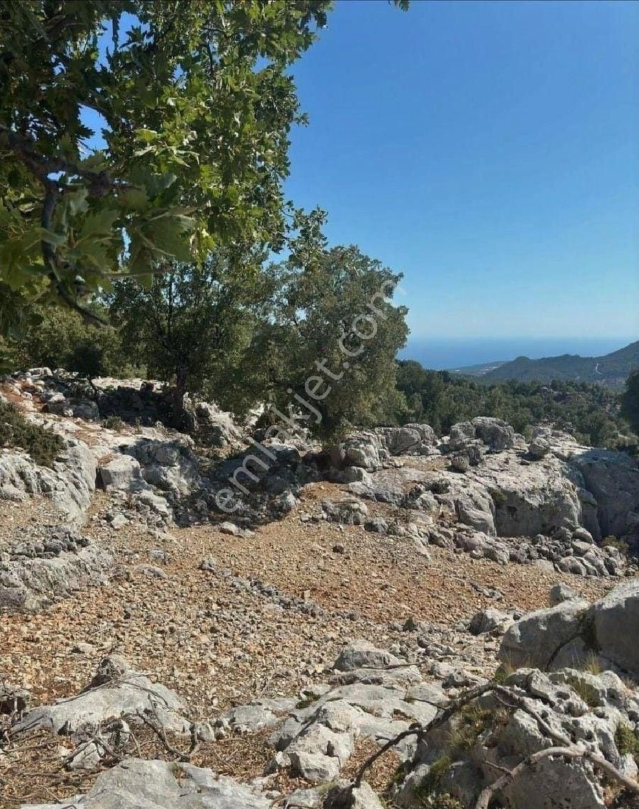 Demre Belören Satılık Tarla ANTALYA.DEMRE BELÖREN KÖYÜNDE  SATILIK TARLA 4000METRE KARE