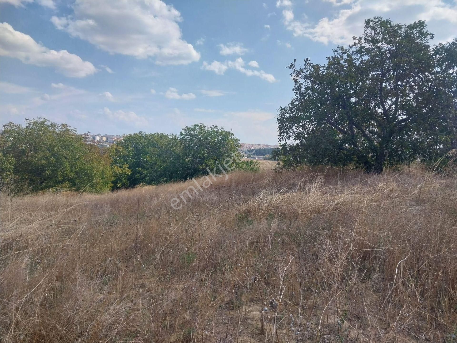 Tekirdağ S.paşa Karadeniz Mah Satılık İmarlı Arsa