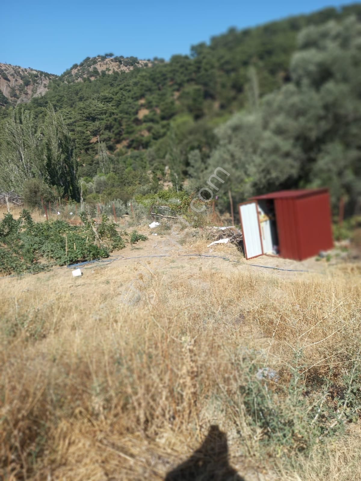 Bergama Alhatlı Tiny House Uygun 476 M2 Zeytinlik - Görsel 21