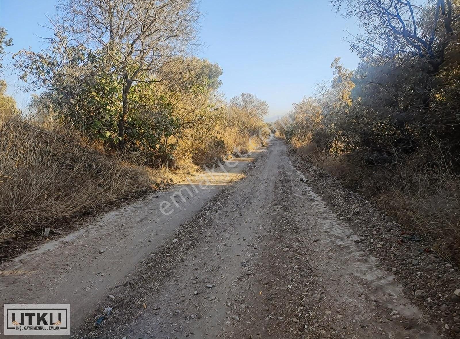 Utku Gayrimenkulden Ballıca Mah 1680 M2 Yola Sıfır Zeytinlik - Görsel 24