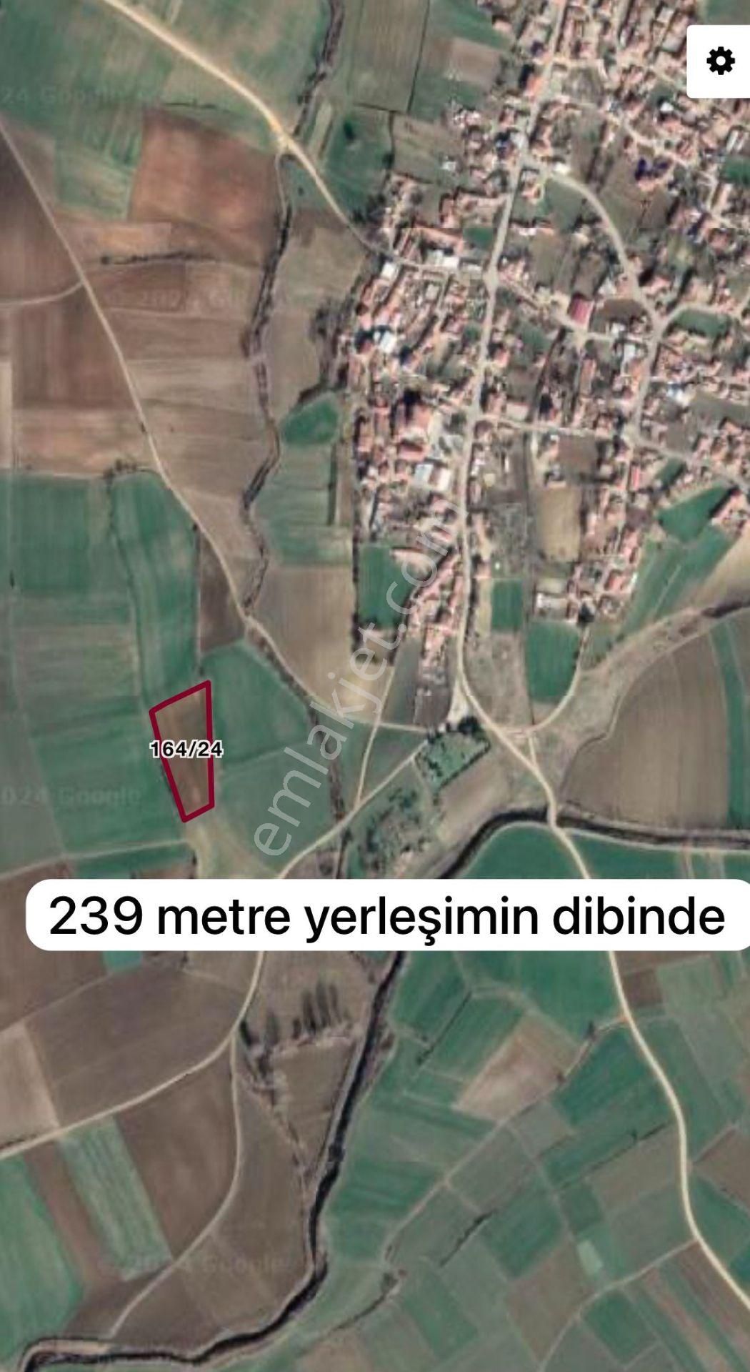 Uzunköprü Karapınar Köyü Satılık Tarla Köyün Hemen Yanı Başında 239 Metre Arsa Fırsatı