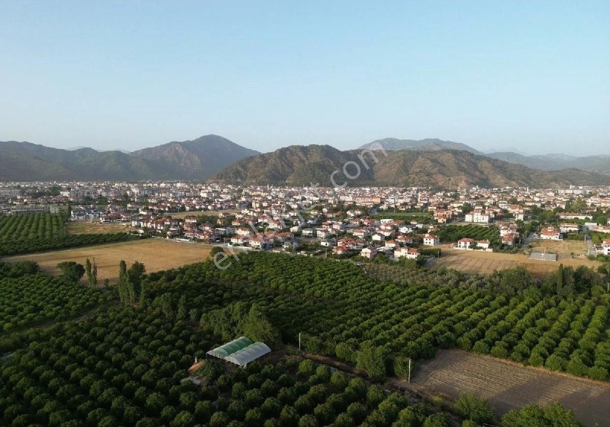 Köyceğiz Toparlar Satılık Konut İmarlı Ortaca Emlak Dünyası Ndan Satılık Yer