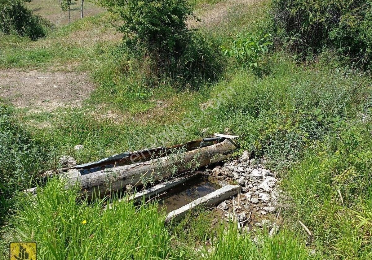 Çameli Akpınar Satılık Bağ & Bahçe YAYLADA YATIRIMLIK BAHCE