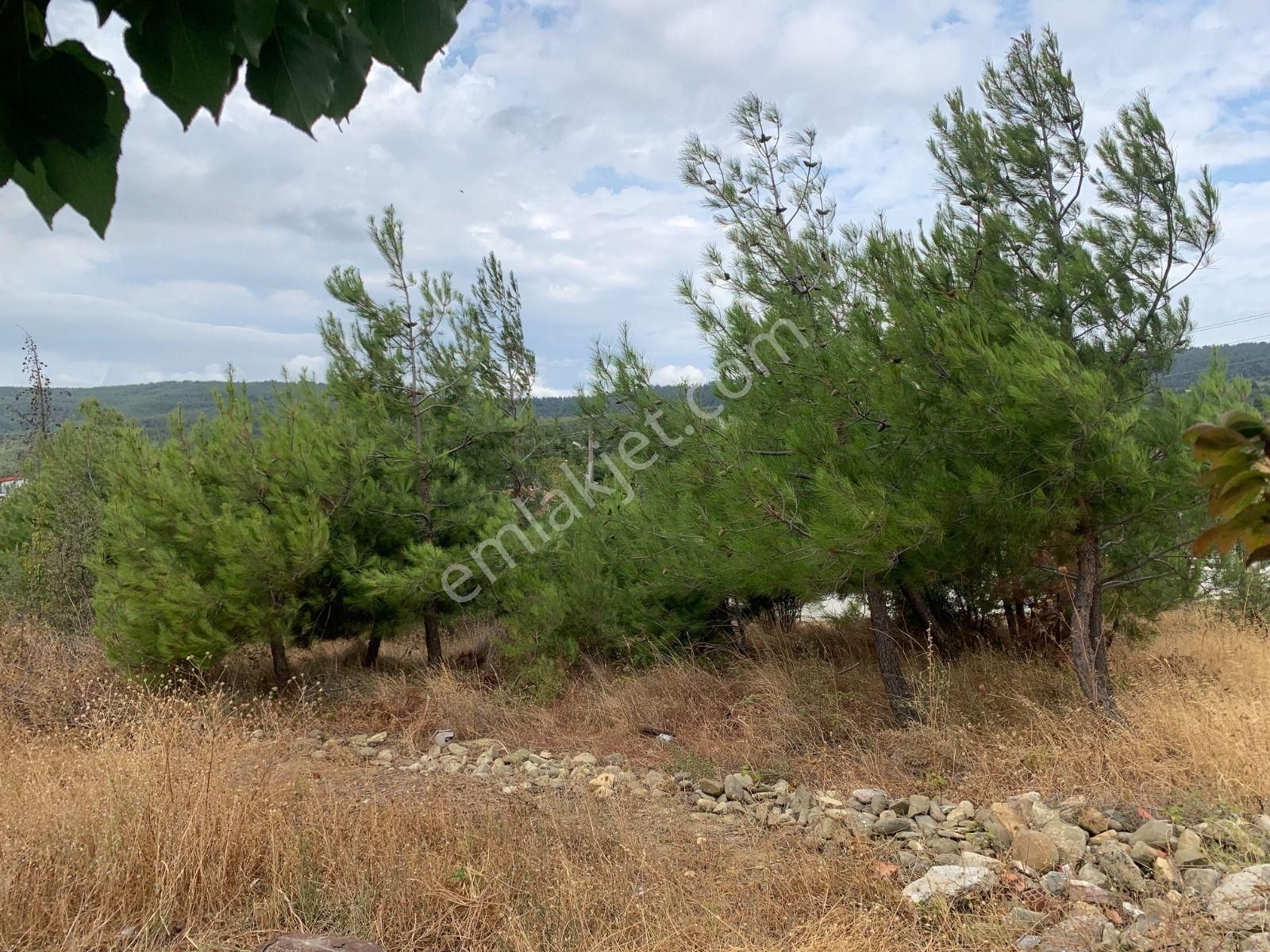 Gelibolu Burhanlı Köyü Satılık Özel Kullanım  GELIBOLU CENNETKOY SITESINDEN DENIZ MANZARALI 1/2 ARSA