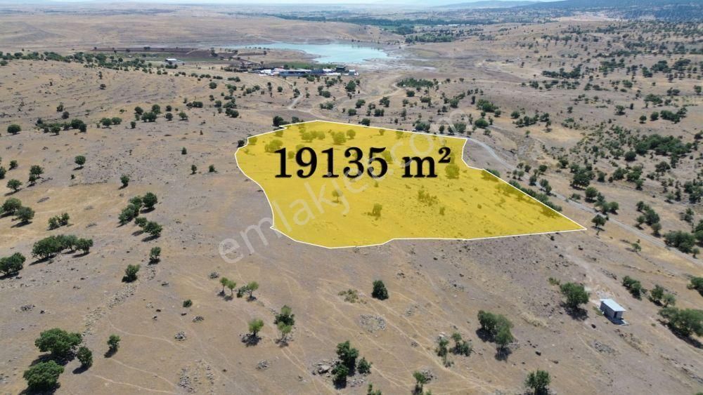 Meram Sadıklar Satılık Tarla  MERAM SADIKLARDA 19.135 M2 MÜSTAKİL TAPULU ARAZİ    