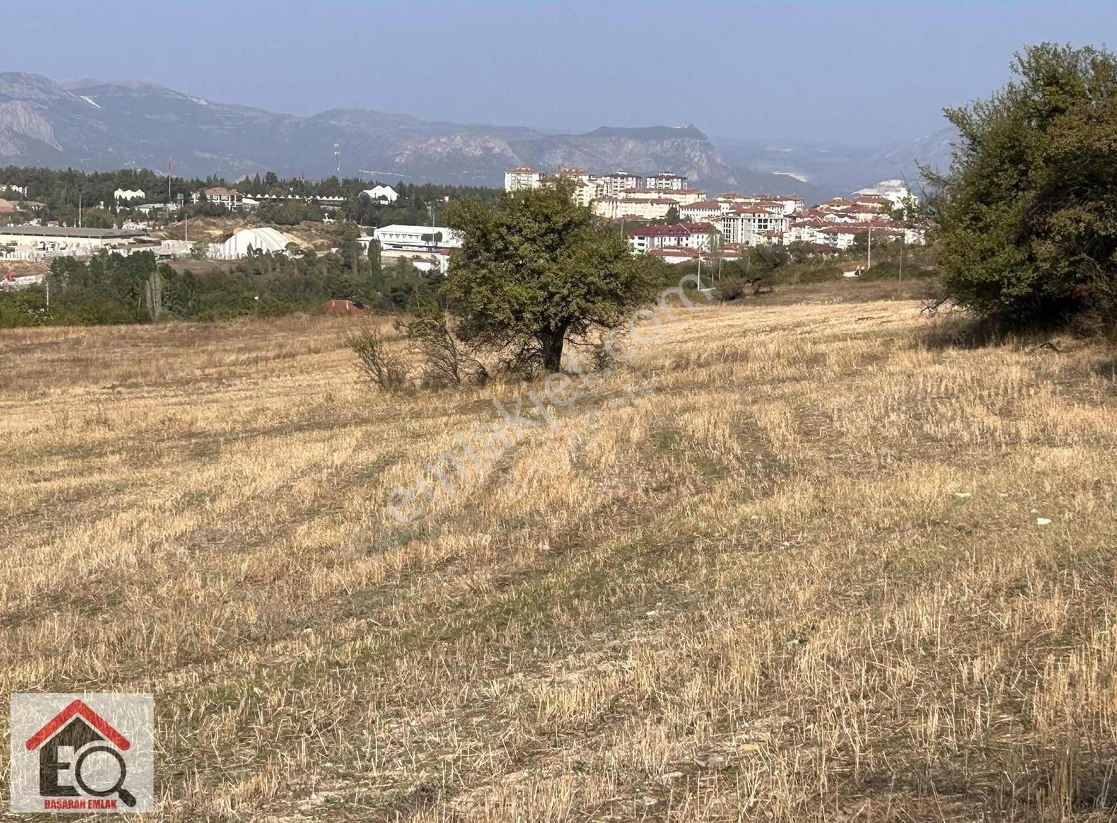 Söğüt Cumhuriyet Satılık Tarla Bilecik Söğüt İlçe Merkezinde Satılık