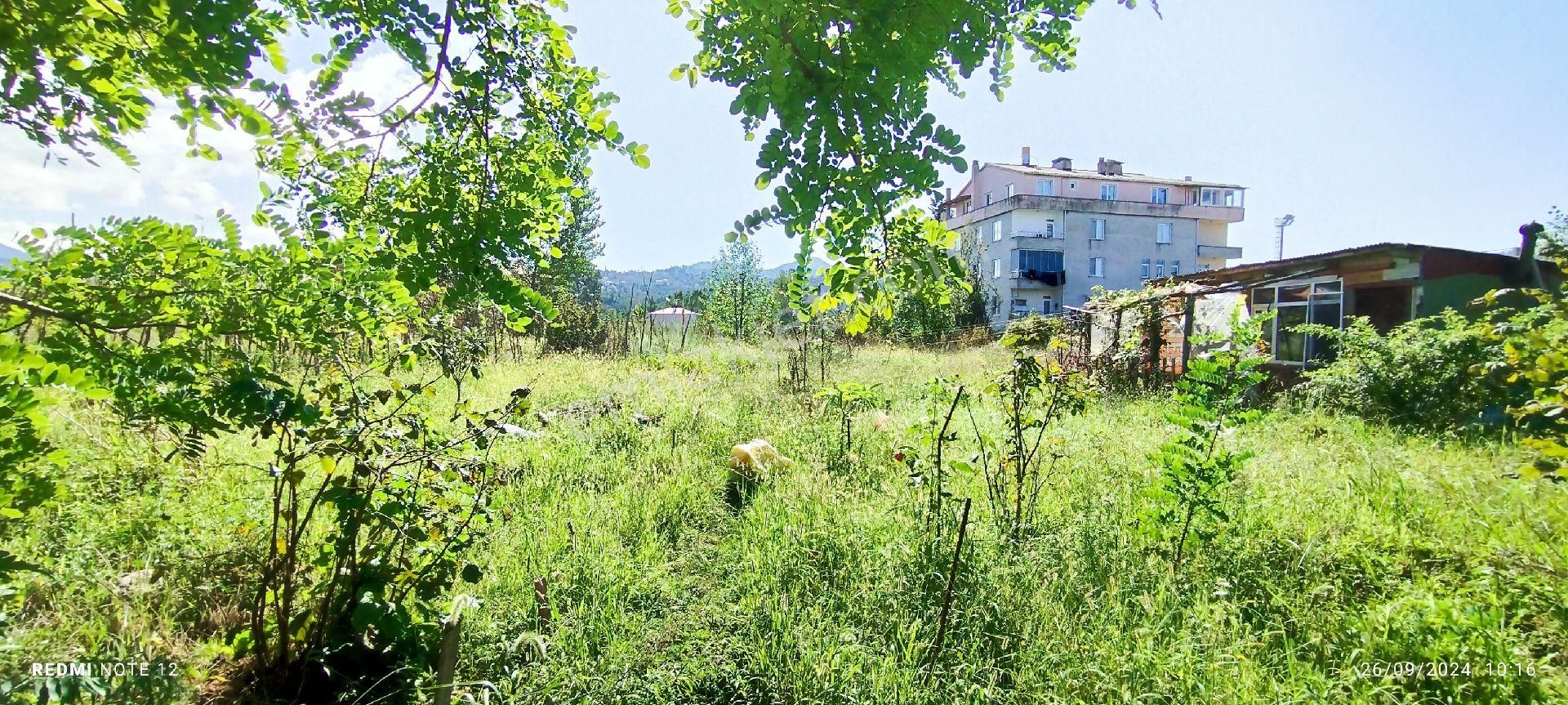 Giresun Espiye Kat Karşılığı Tarla Kat Karşılığı 