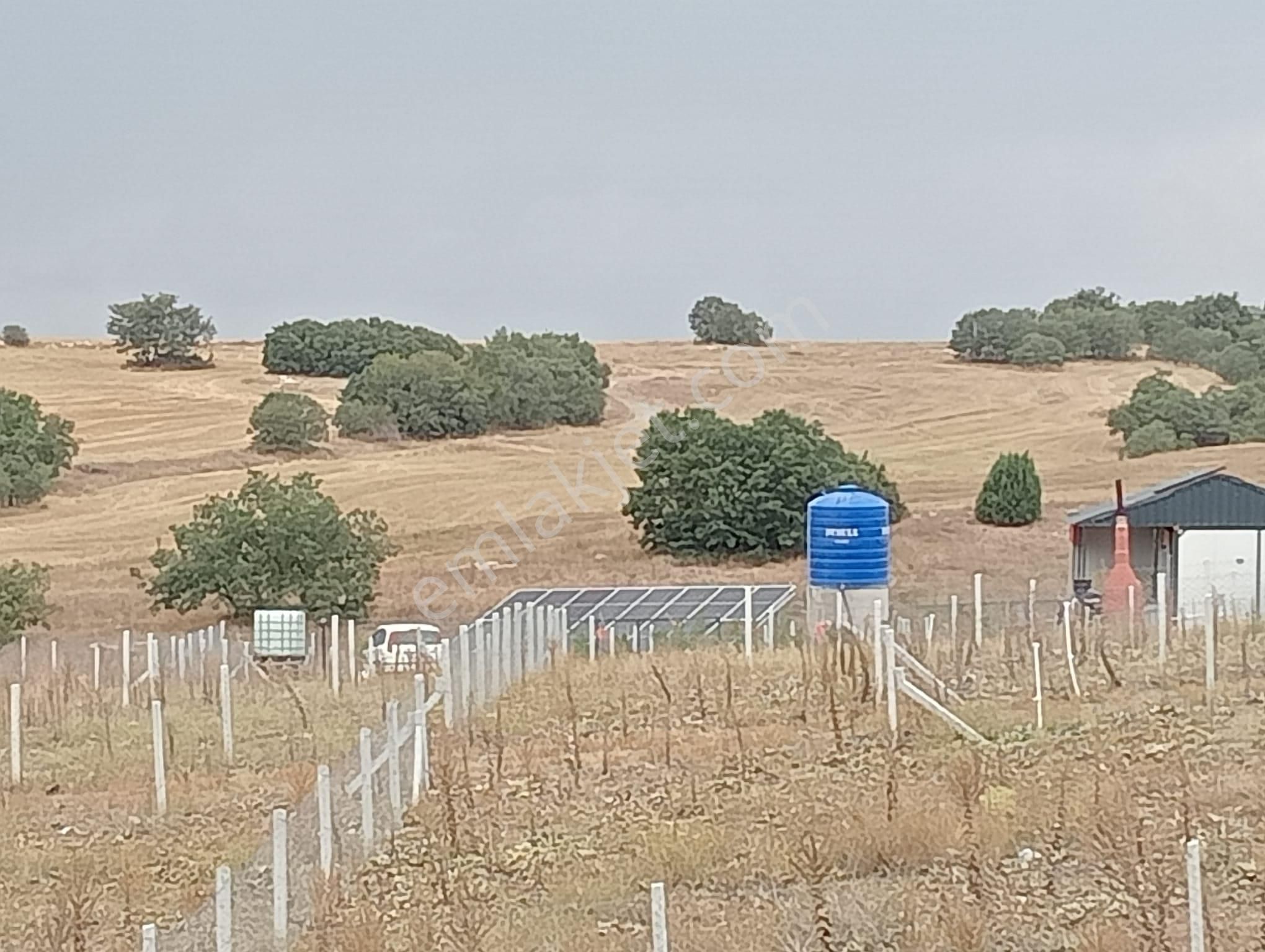 Odunpazarı Karapazar Satılık Tarla Vade Farksız 12 Ay Taksit İmkanı İle Satılık Bahçe