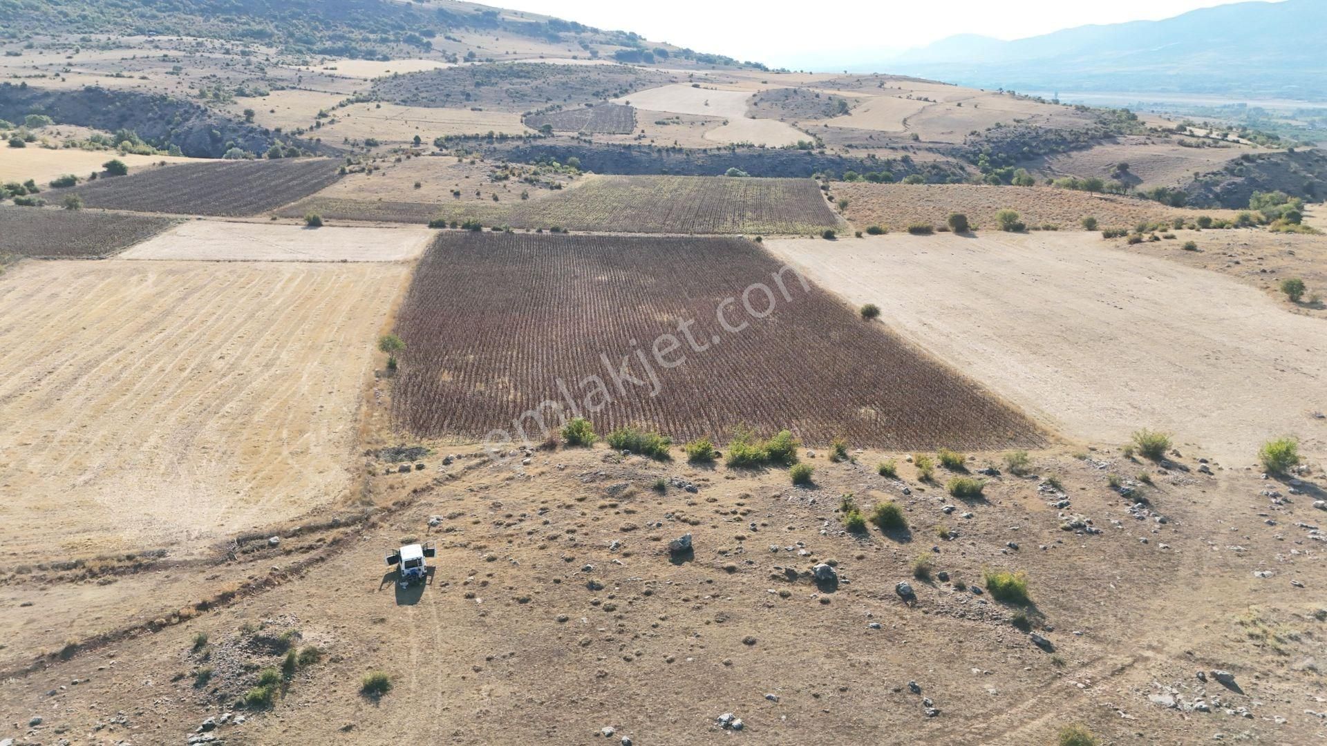 Tokat Merkez Ulaş Köyü Satılık Tarla VADİ EMLAK'TAN VARAZ KÖYÜ'NDE SATILIK 6.000 METREKARE TARLA