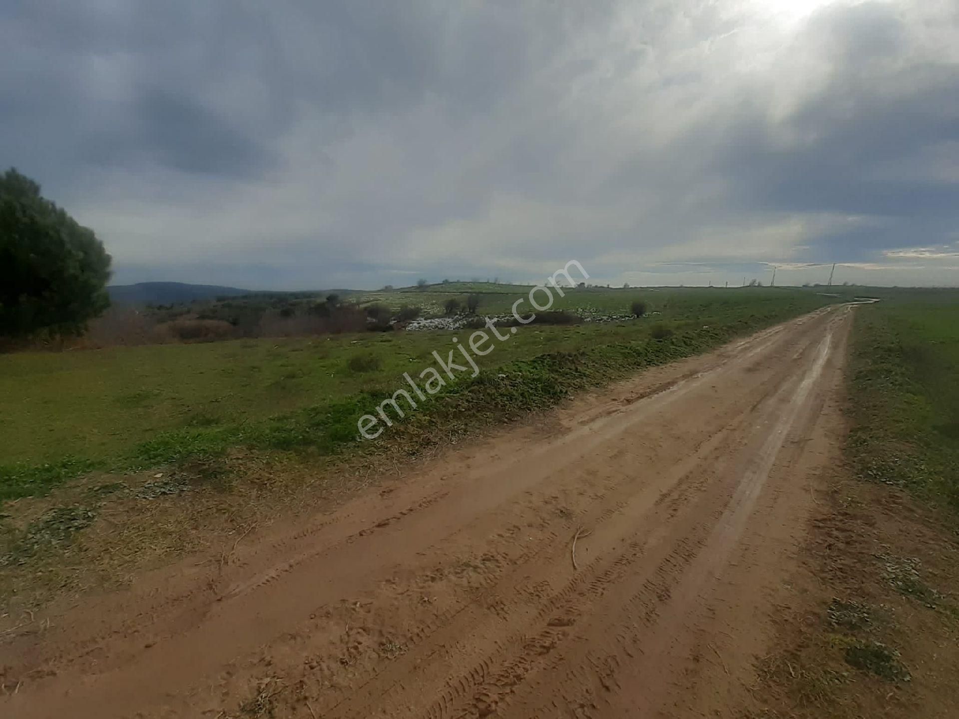 Erdek Yukarıyapıcı Satılık Tarla DENİZ GAYRİMENKULDEN SATILIK ERDEK'TE YATIRIMLIK 6.500M2 TARLA