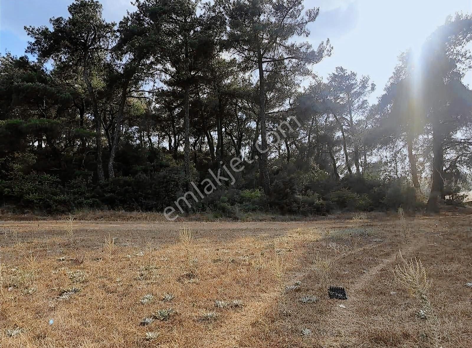 Menderes Çamönü Satılık Tarla COŞAR EMLAKTAN ÇAMÖNÜNDE SATILIK 1 DÖNÜM TARLA