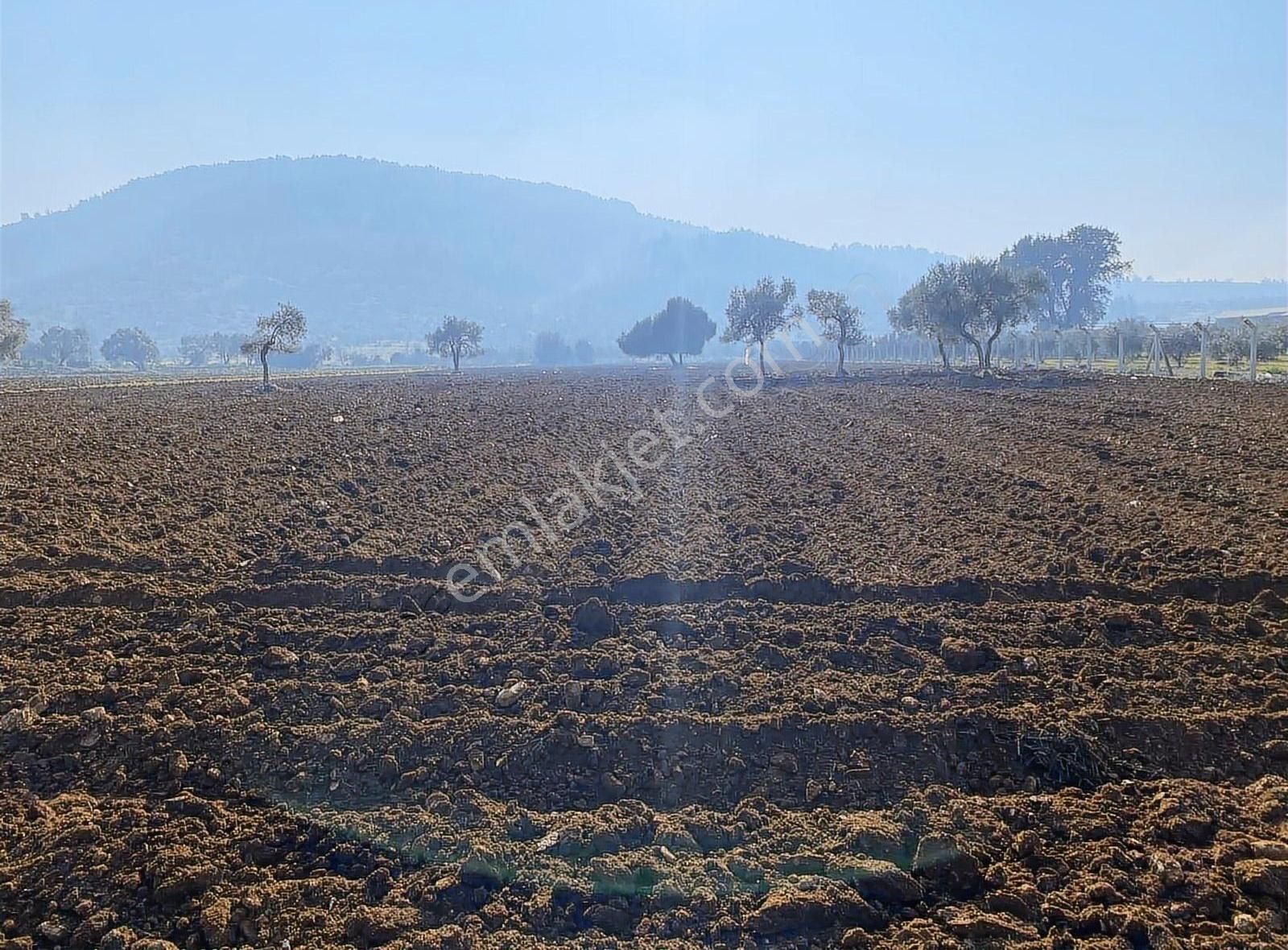 Menderes Çakaltepe Satılık Tarla COŞAR EMLAKTAN ÇAKALTEPE DE TEPSİ GİBİ 11 DÖNÜM TEK TAPU TARLA