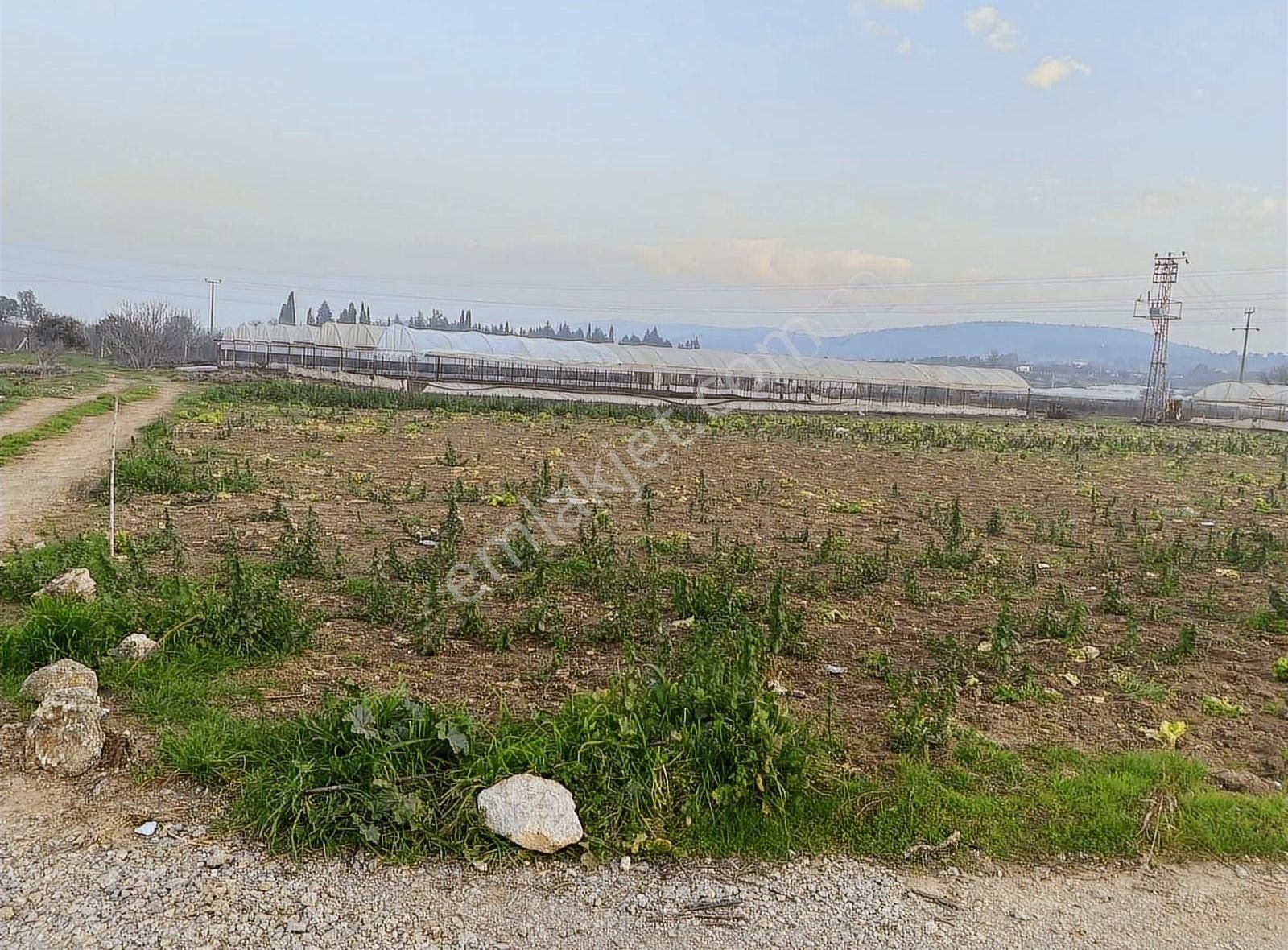 Menderes Sancaklı Satılık Tarla COŞAR EMLAKTAN MENDERES SANCAKLIDA 6 DÖNÜM TEK TAPU TARLA