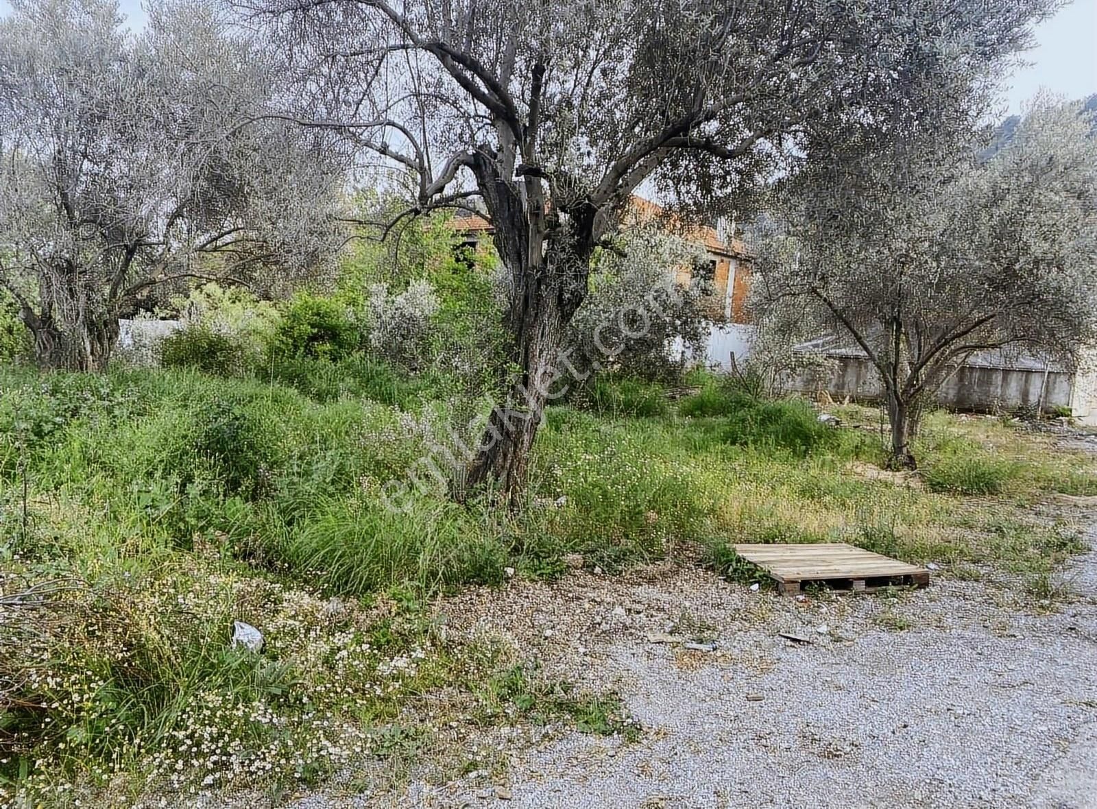 Menderes Çamönü Satılık Tarla ÇAMÖNÜNDE KÖY İÇİNDE 413 metre TEK TAPU ARSA