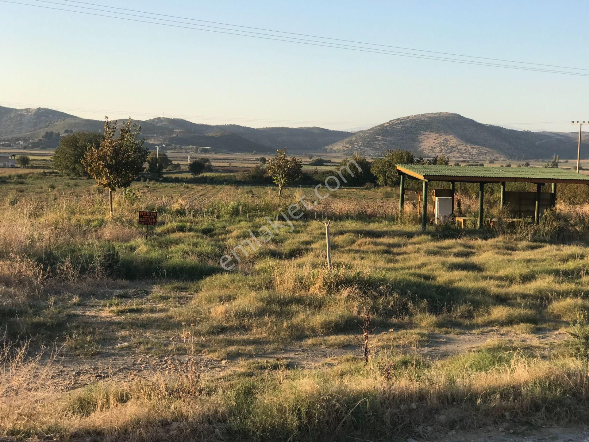 Tire Küçükkale Satılık Tarla ATILIM EMLAKTAN SATILIK ARSA