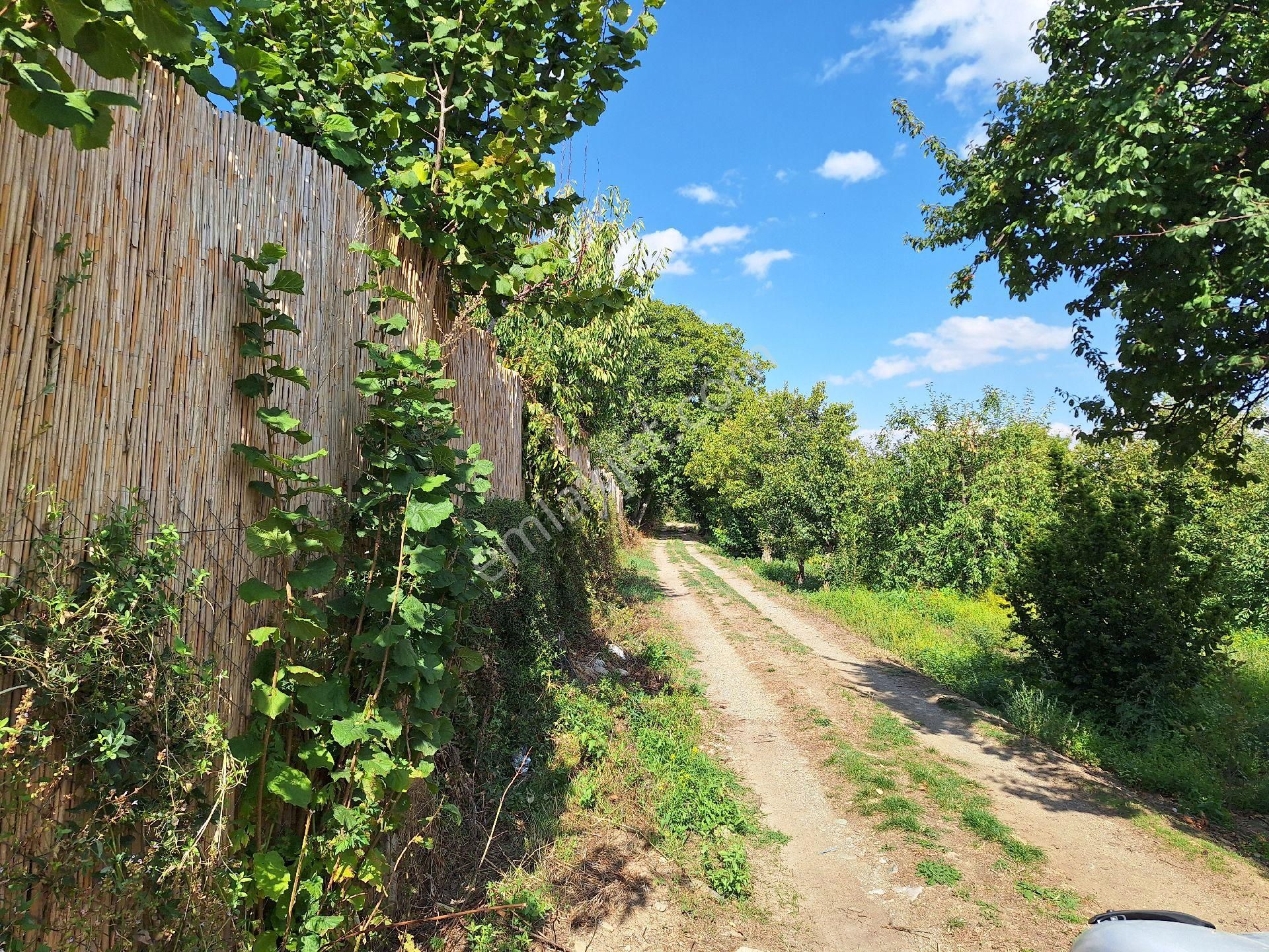 Dagli Emlaktan Atakent Mahallesinde - Görsel 3