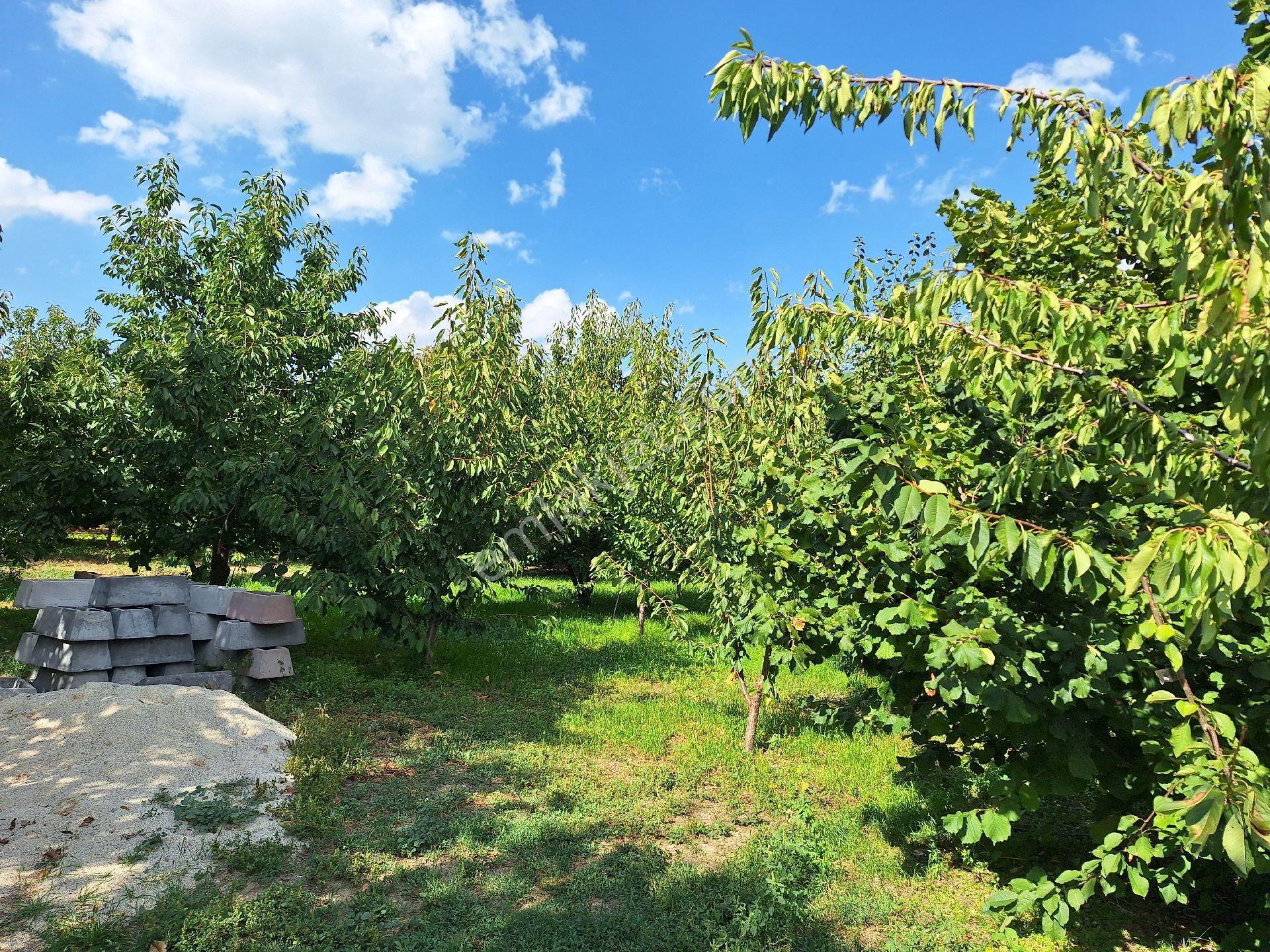 Dagli Emlaktan Atakent Mahallesinde - Görsel 6